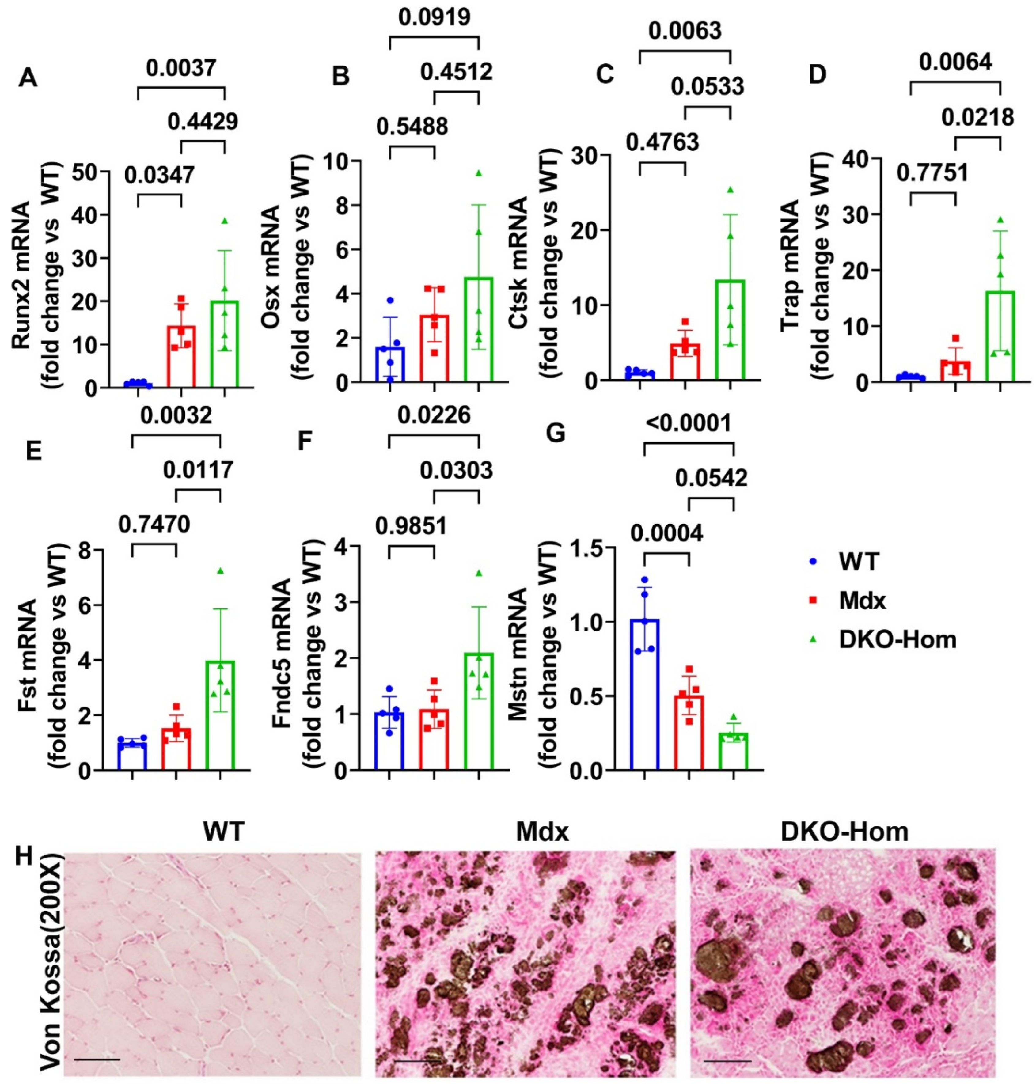 Preprints 138416 g002