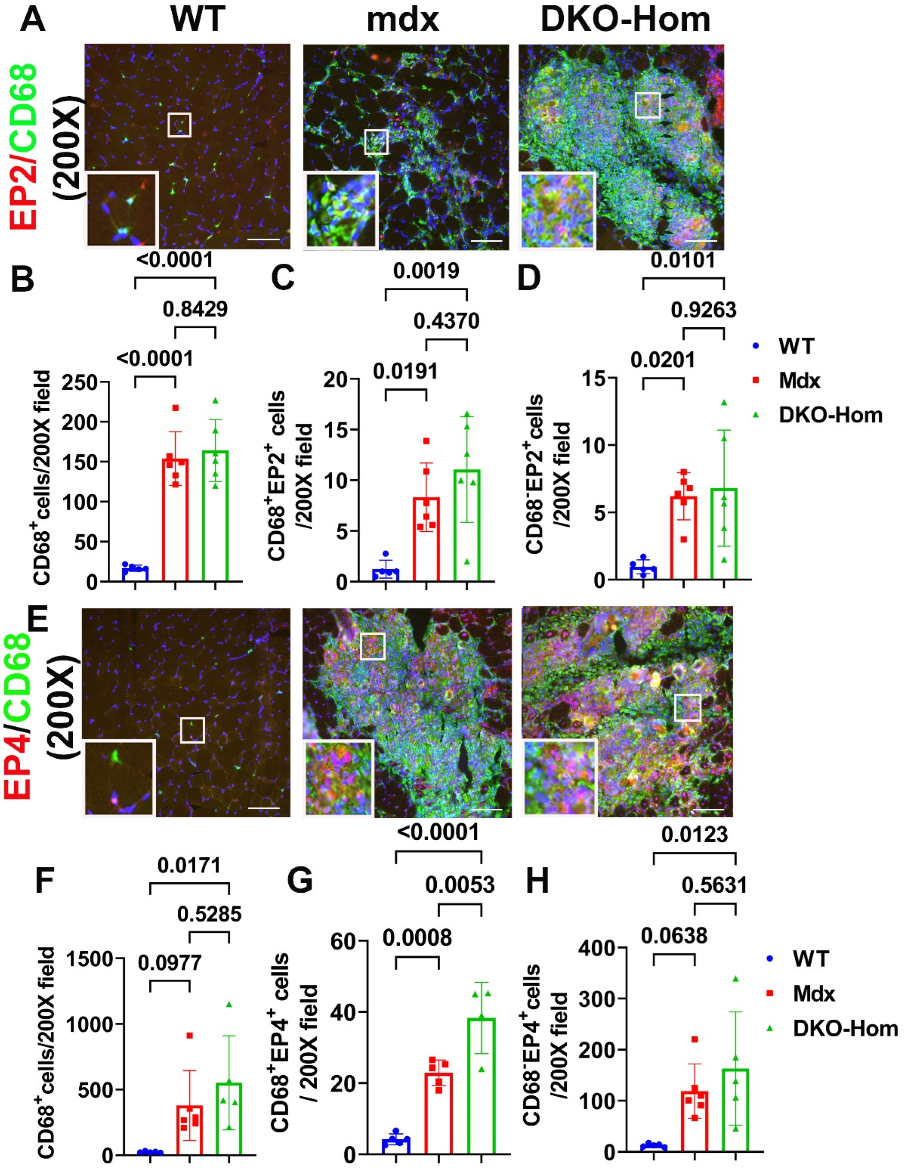 Preprints 138416 g003