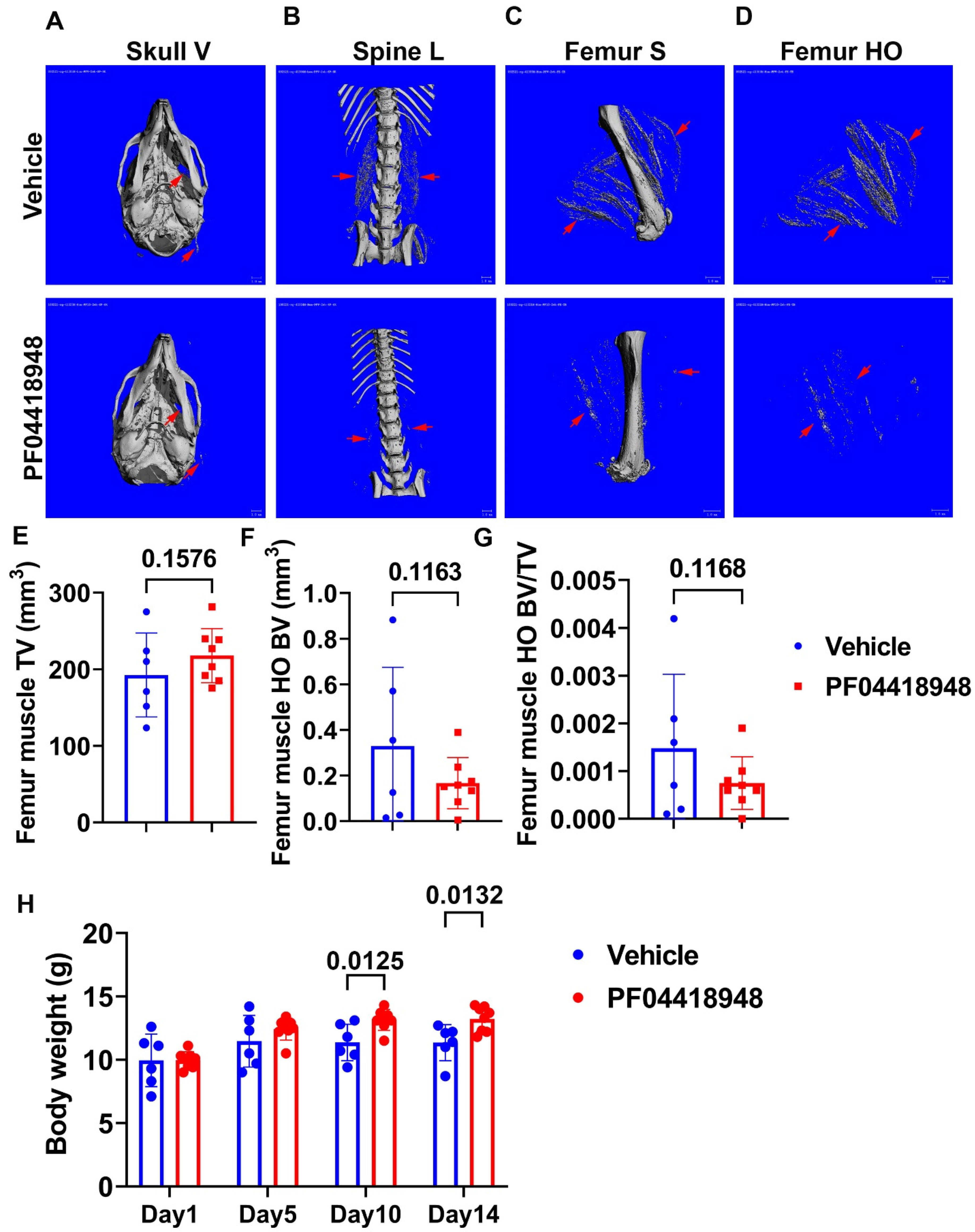 Preprints 138416 g004