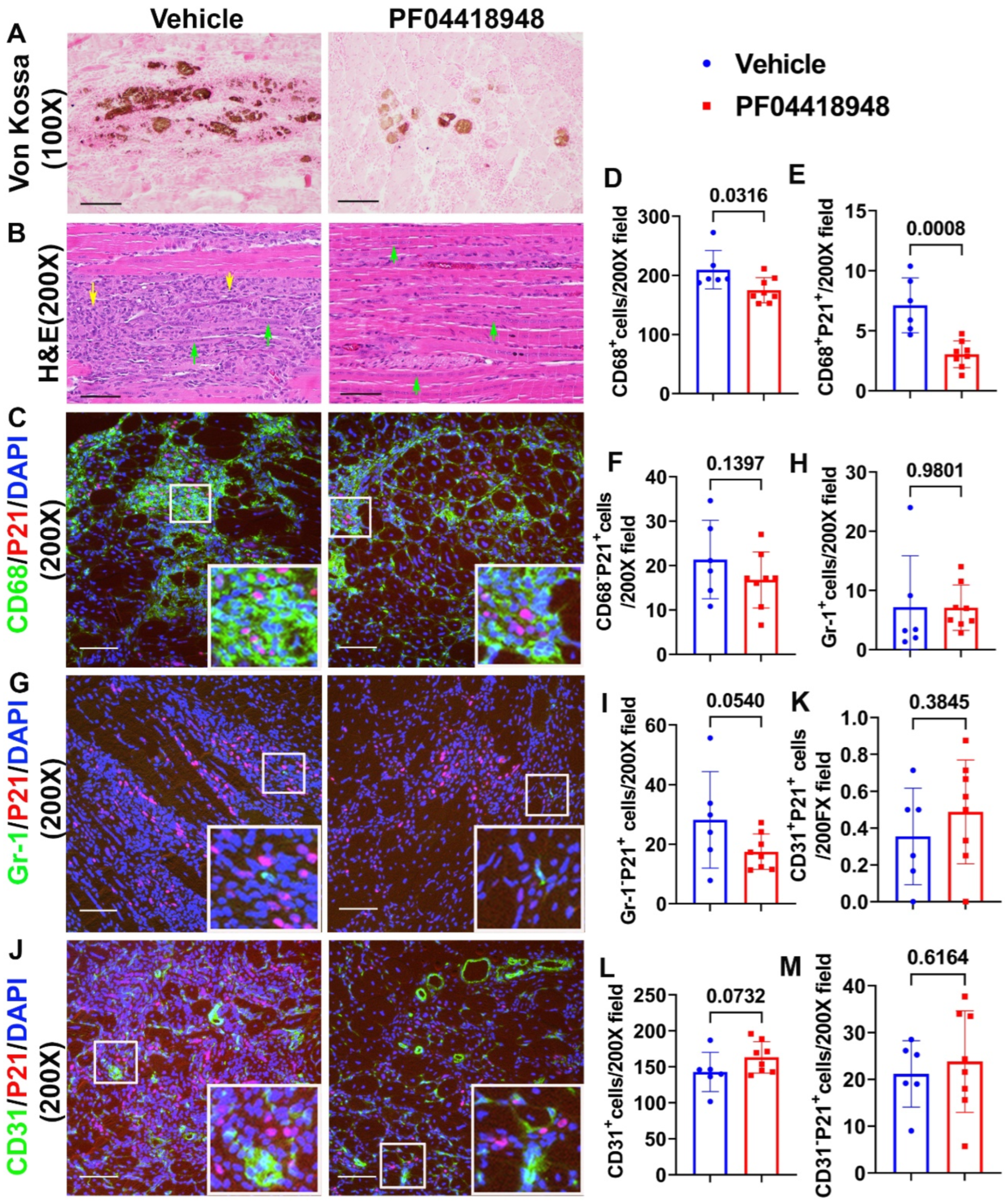 Preprints 138416 g005