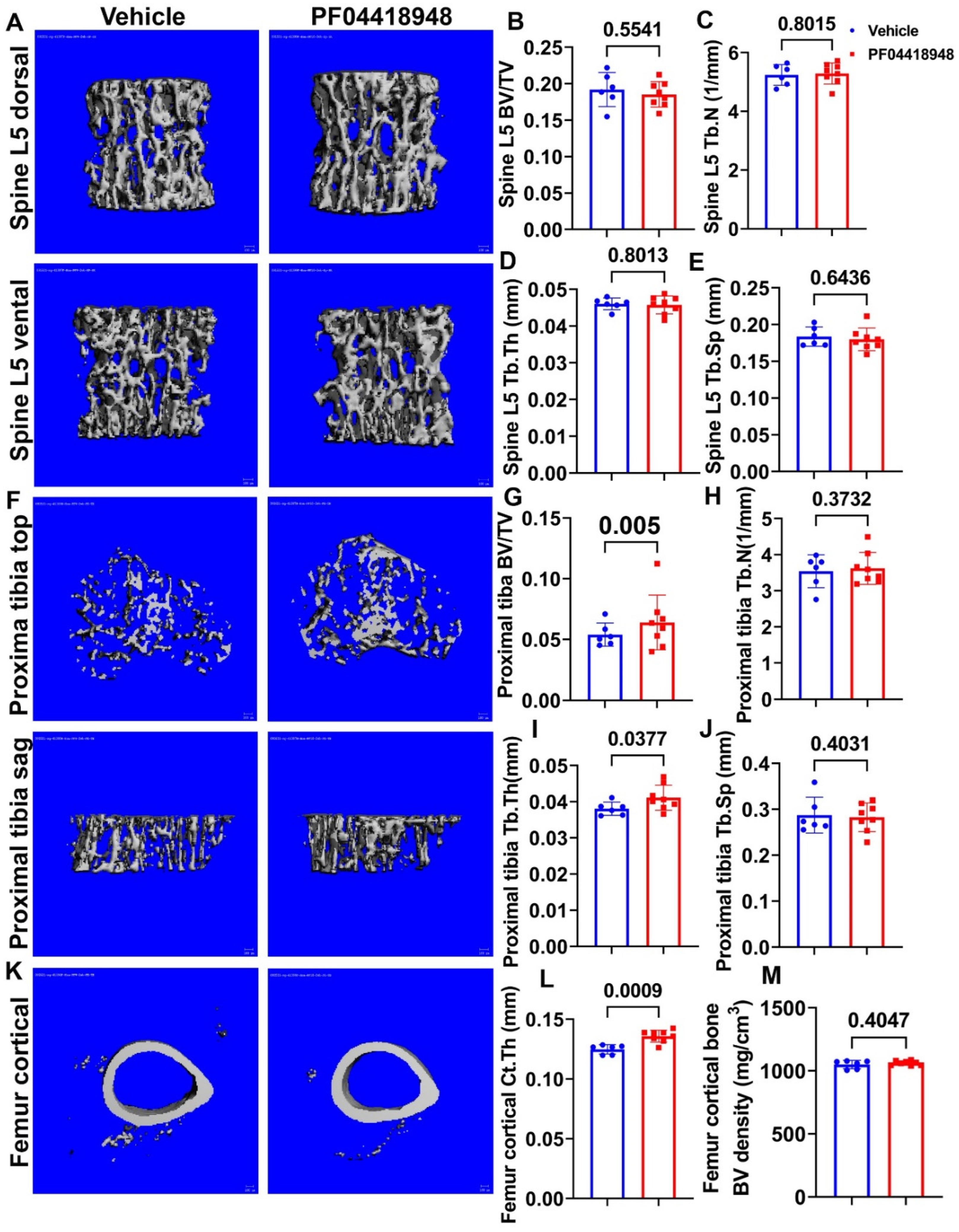 Preprints 138416 g007