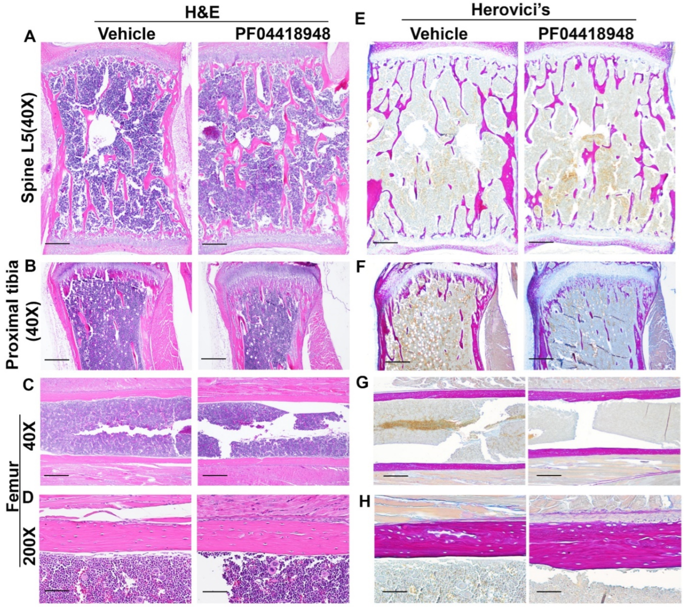 Preprints 138416 g008