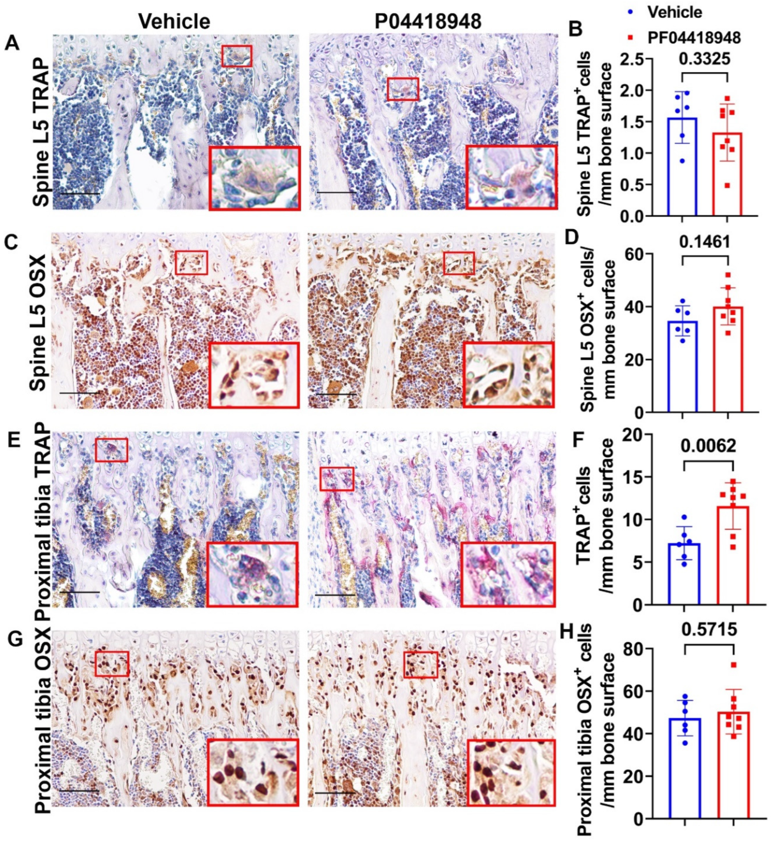 Preprints 138416 g009