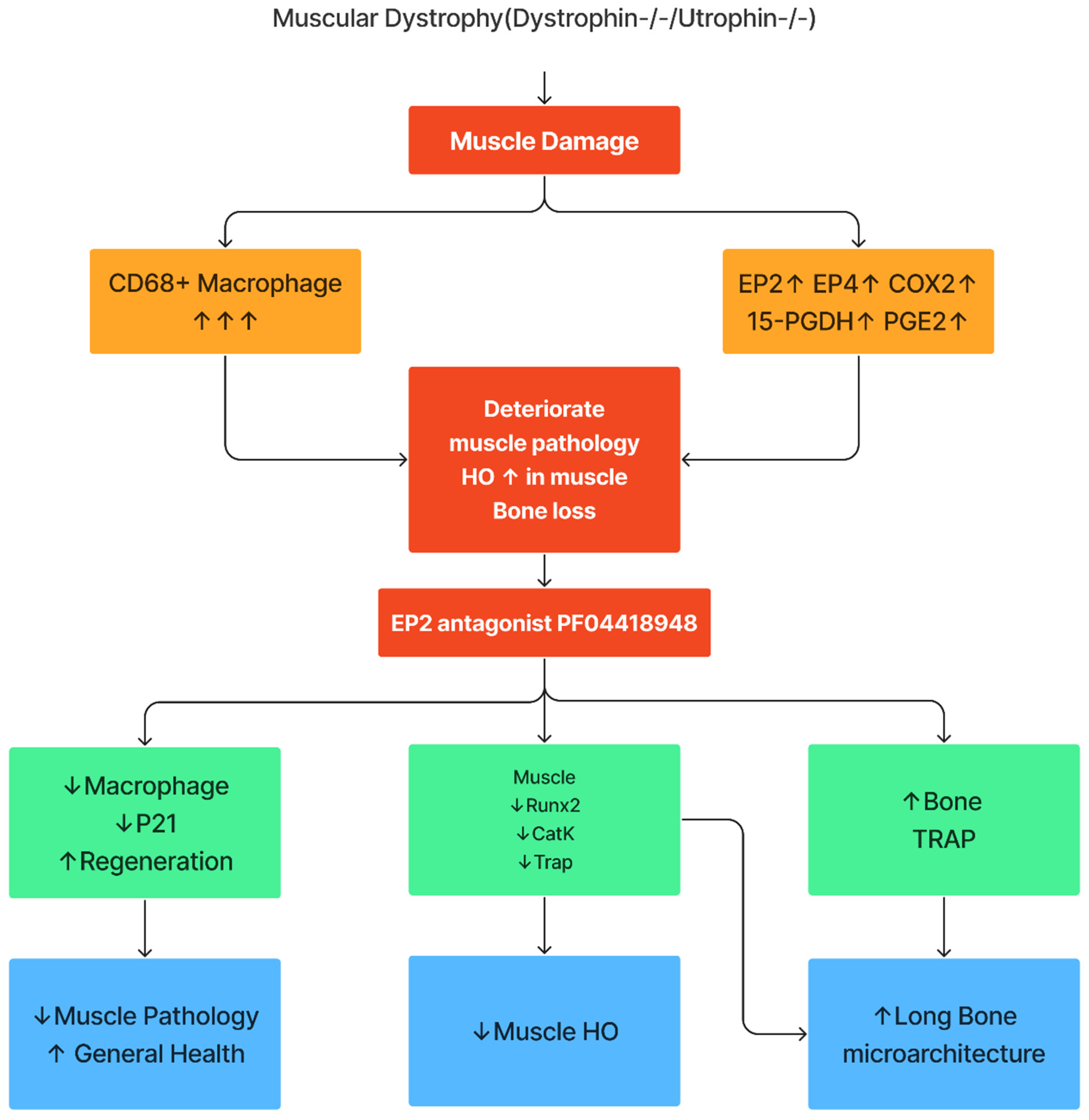 Preprints 138416 g010