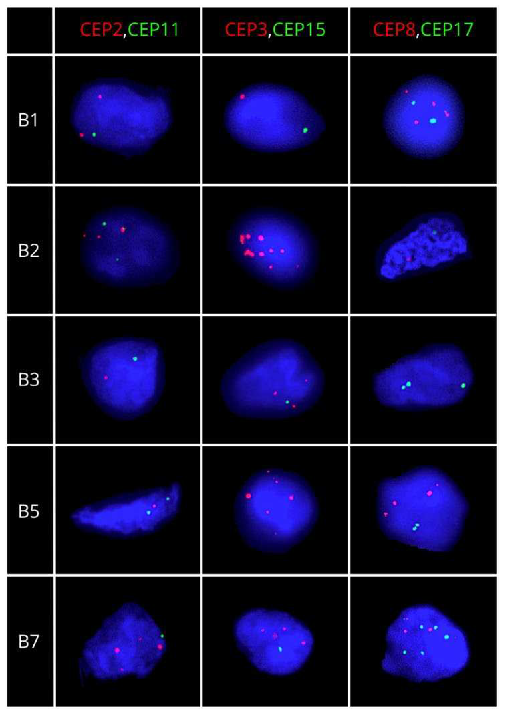 Preprints 98646 g002