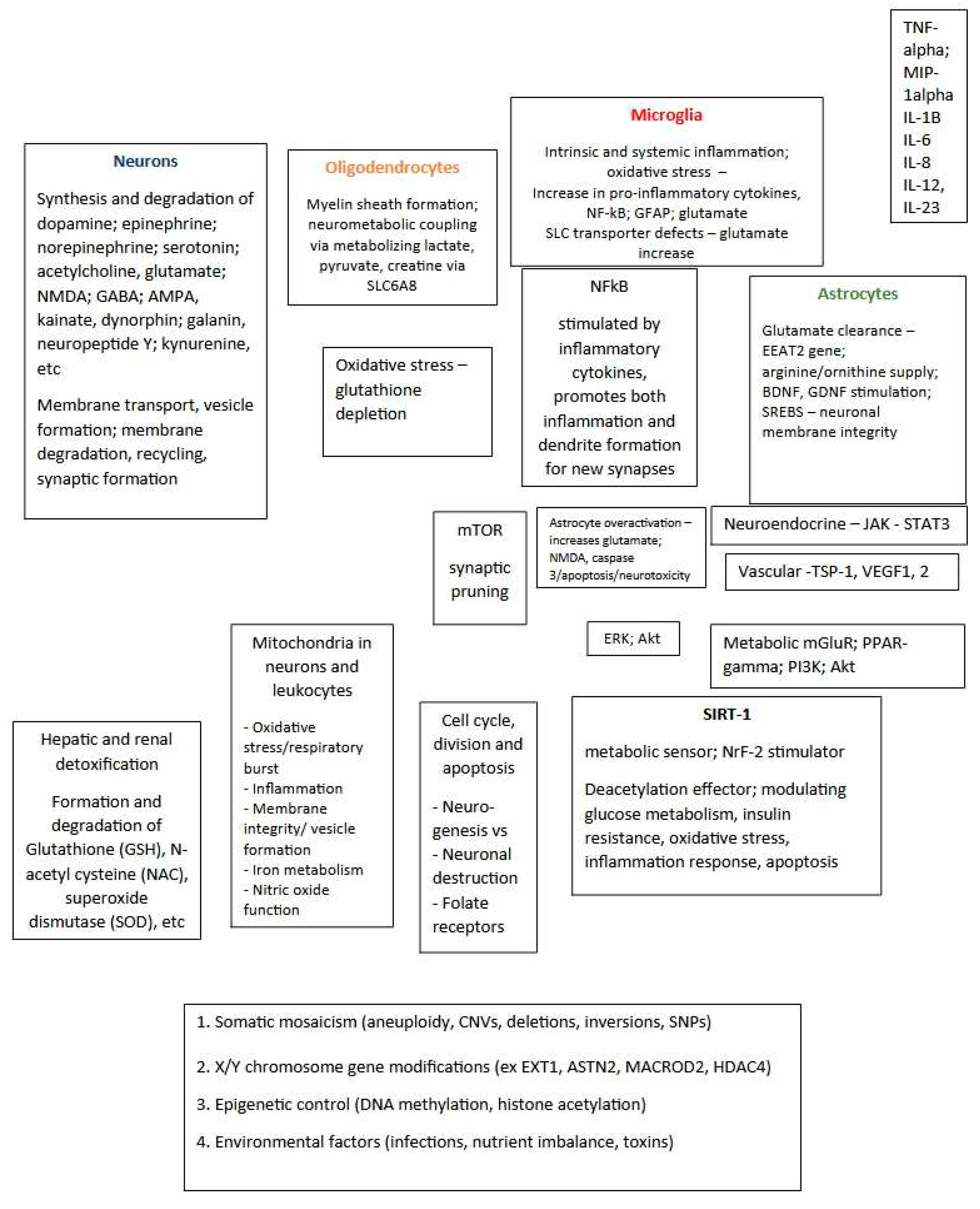 Preprints 95023 g005