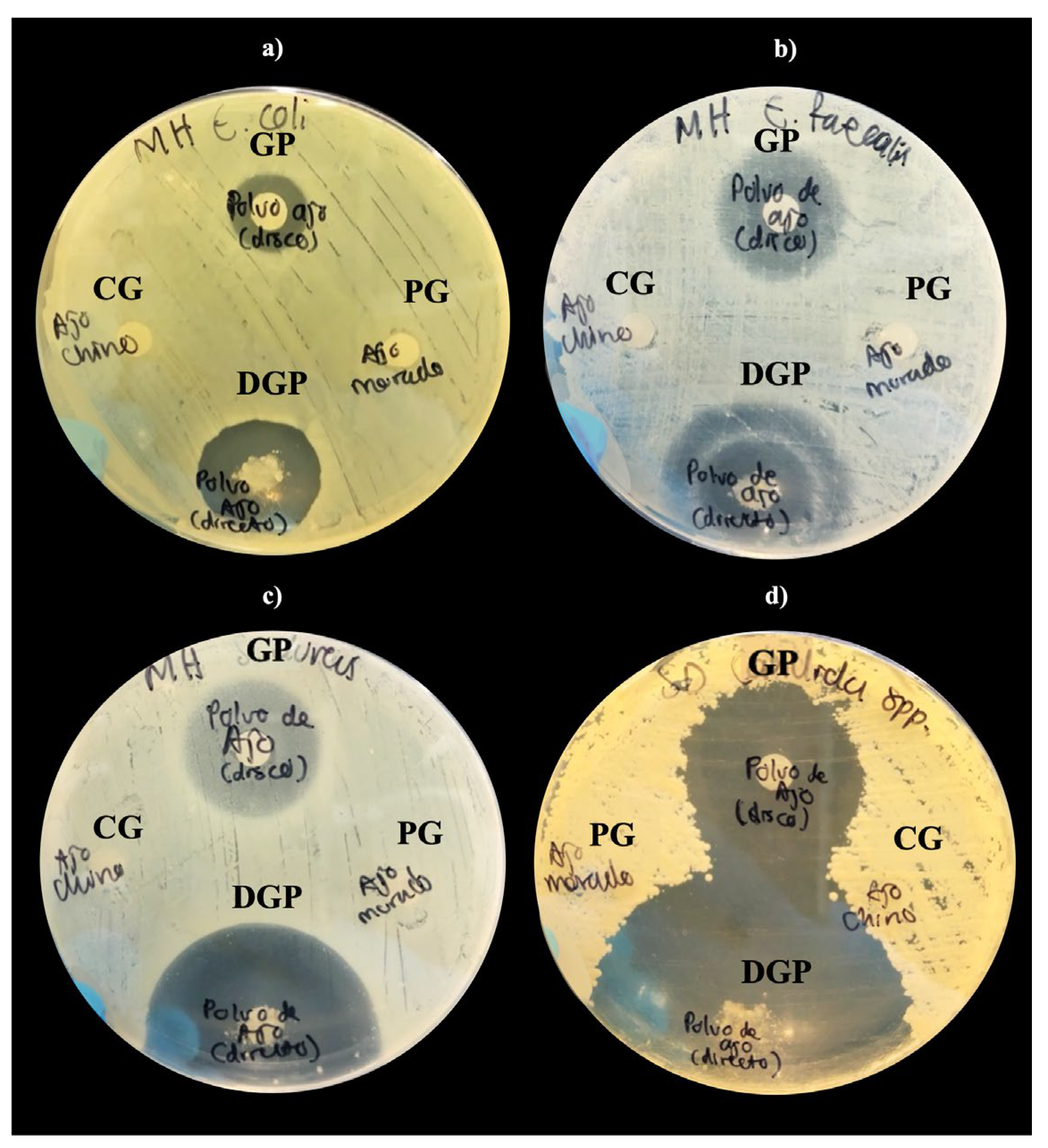 Preprints 110967 g004