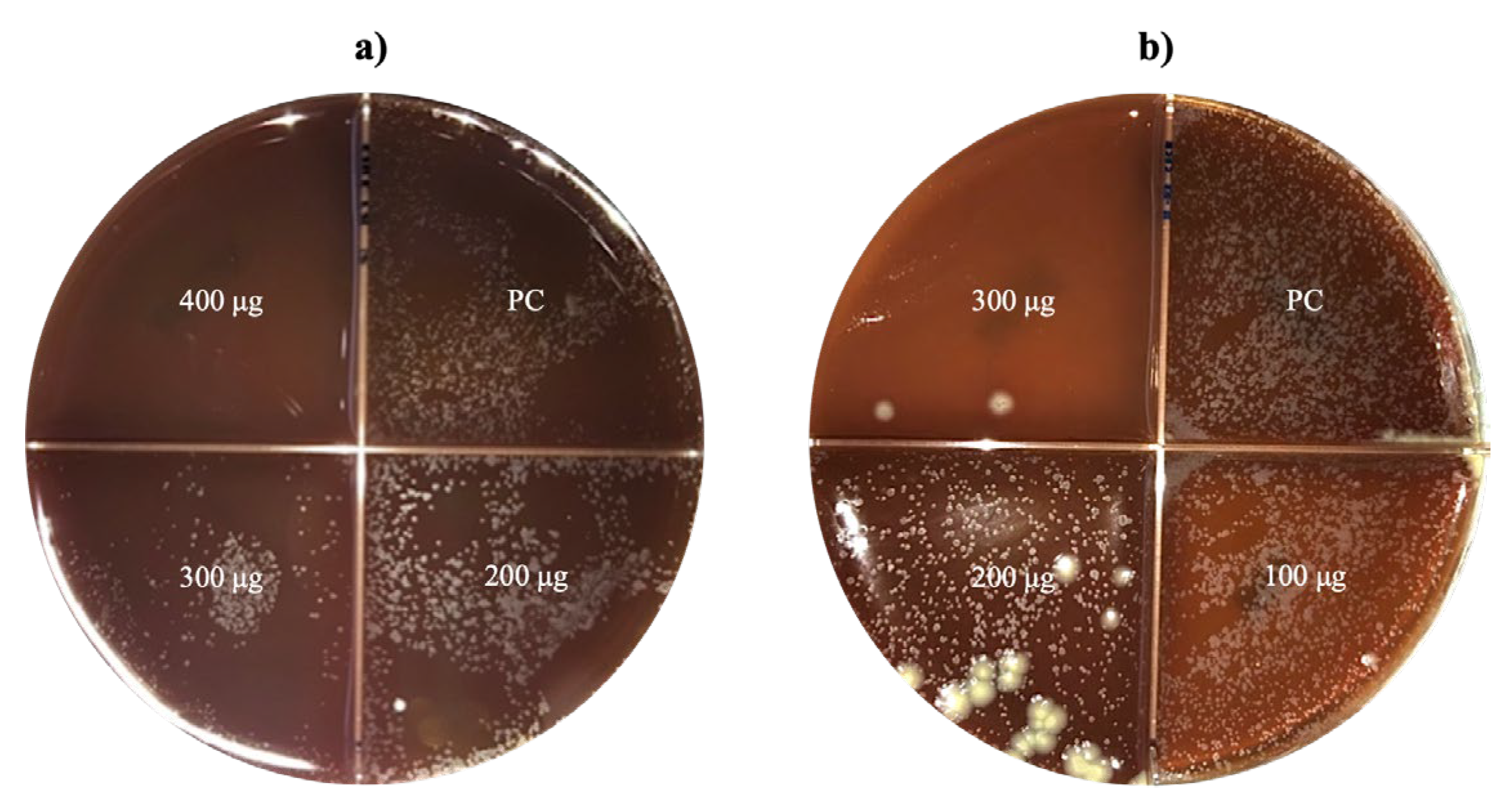 Preprints 110967 g005