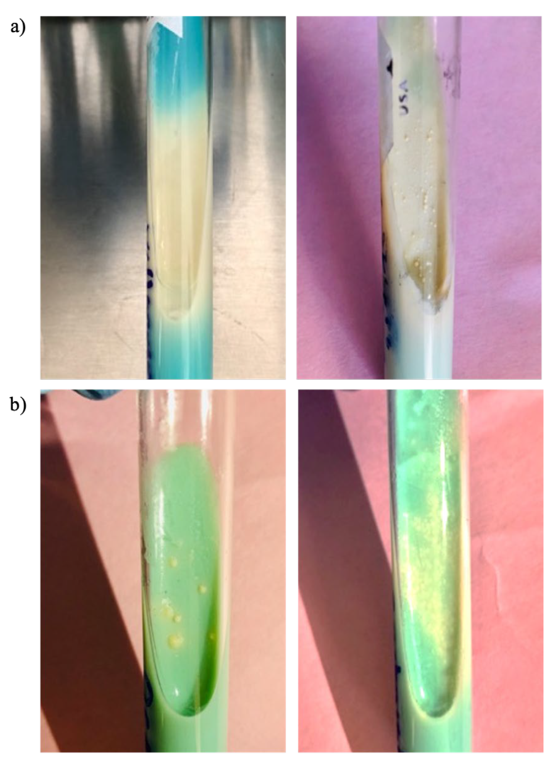 Preprints 110967 g006