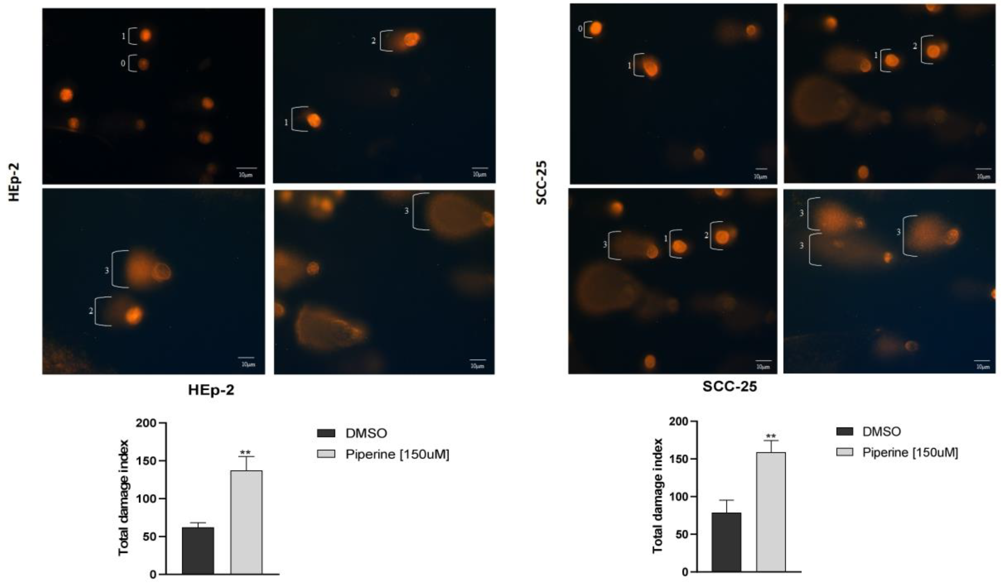 Preprints 100261 g004