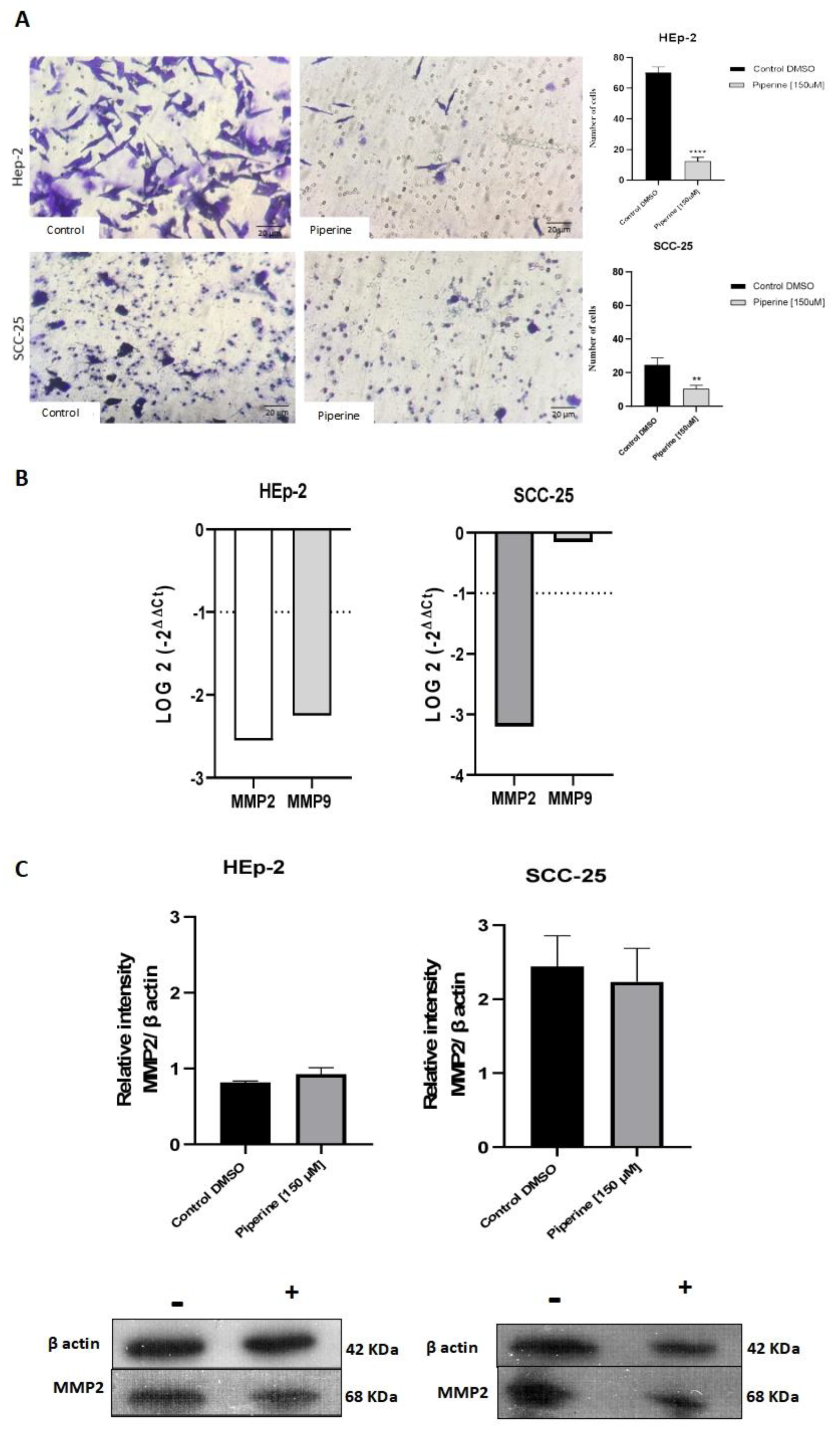 Preprints 100261 g005