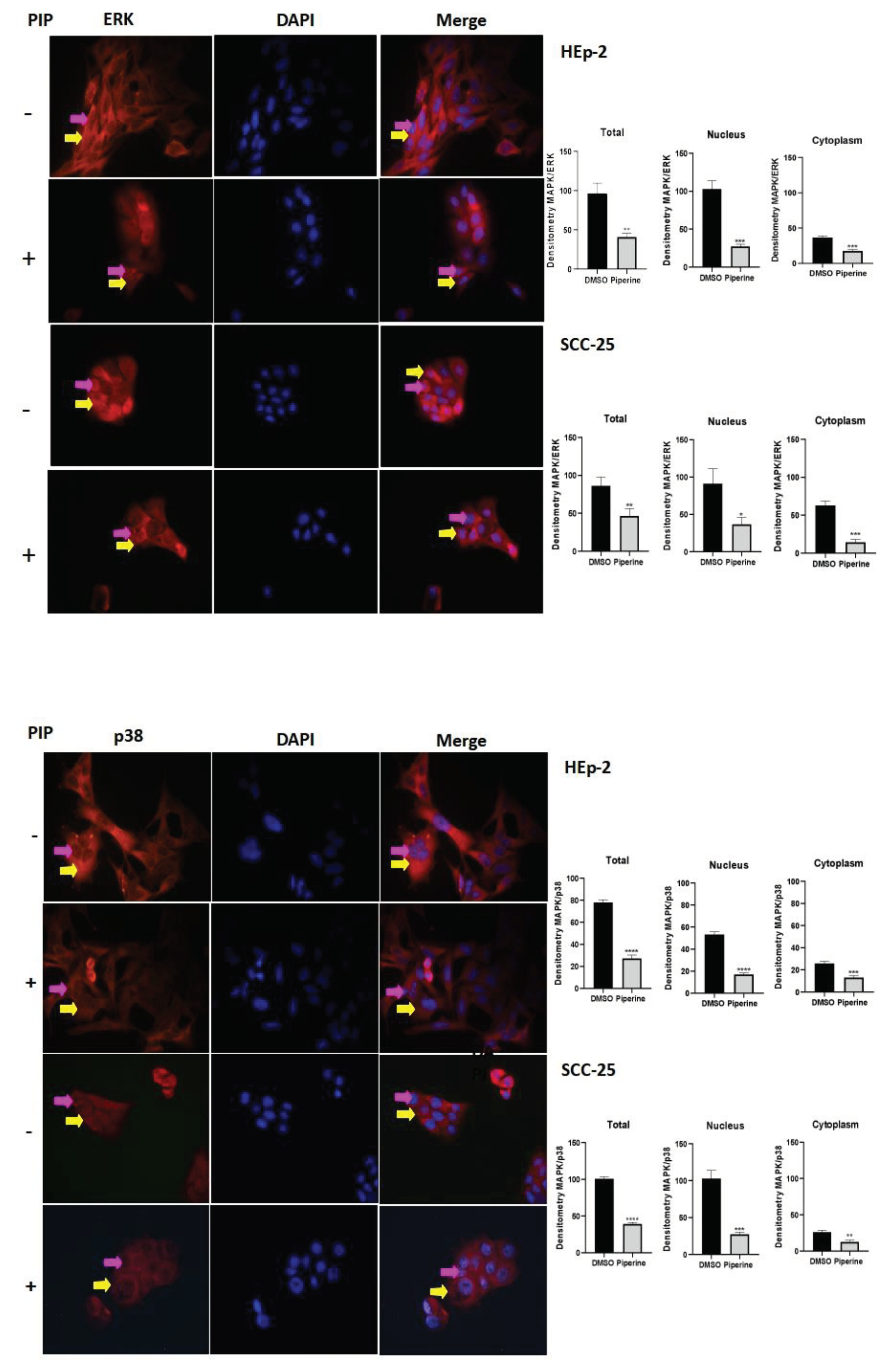 Preprints 100261 g007