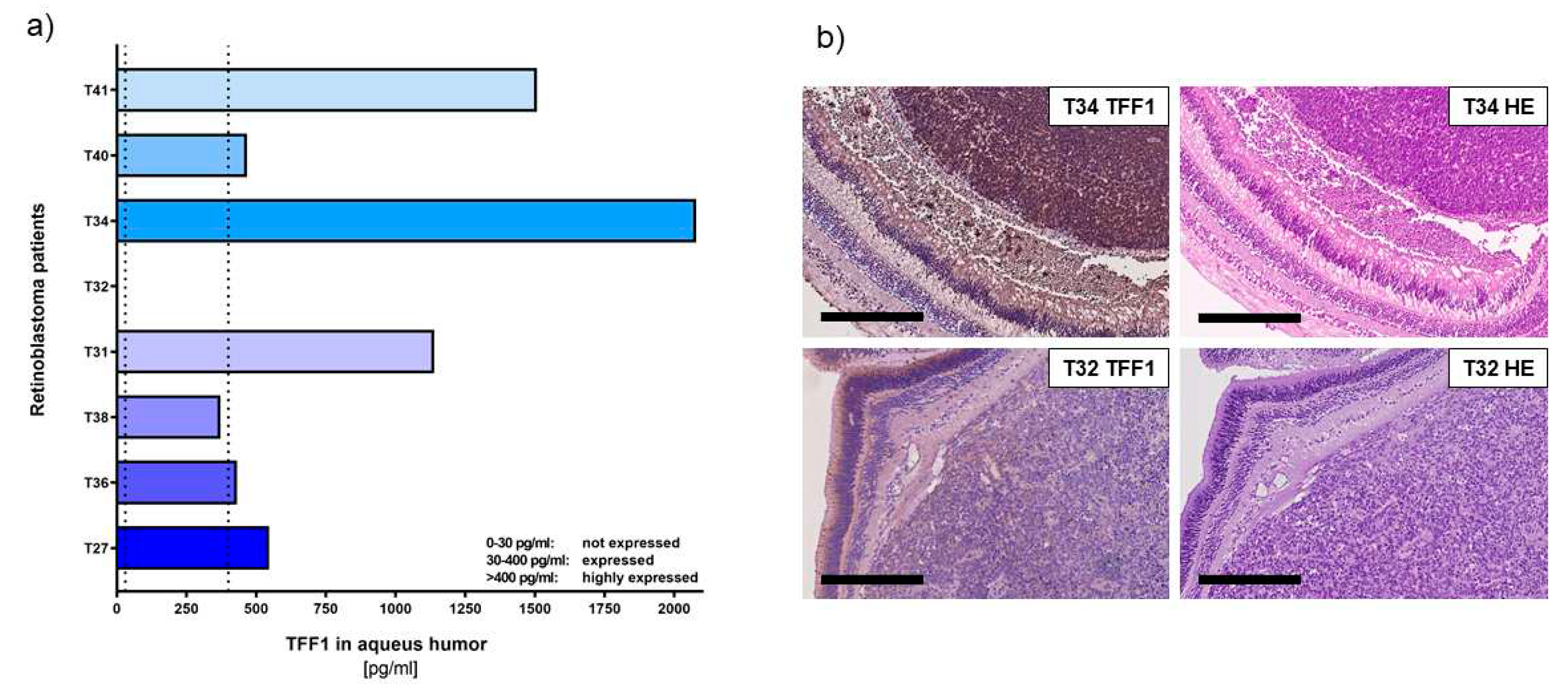 Preprints 82951 g002