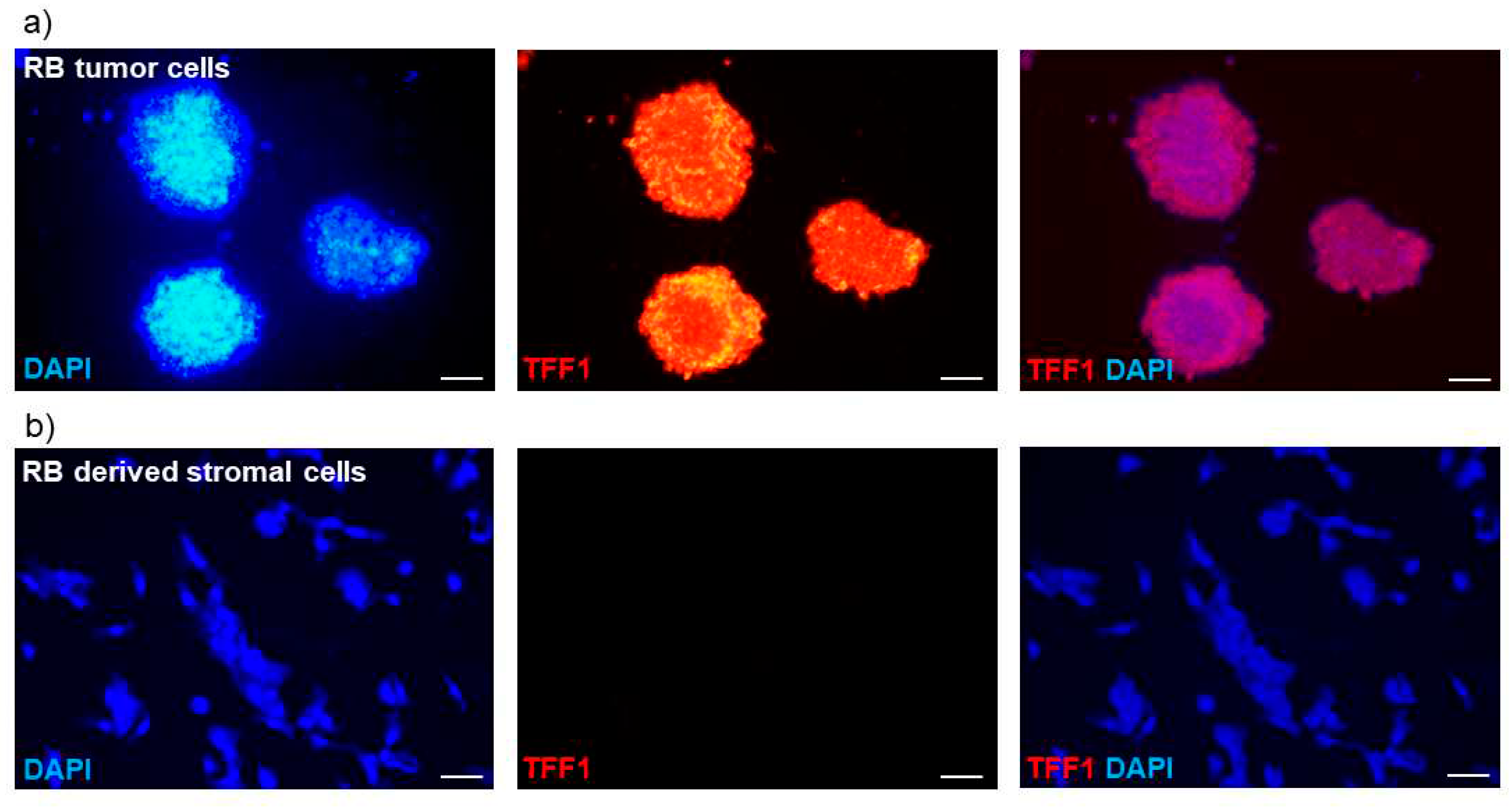 Preprints 82951 g003