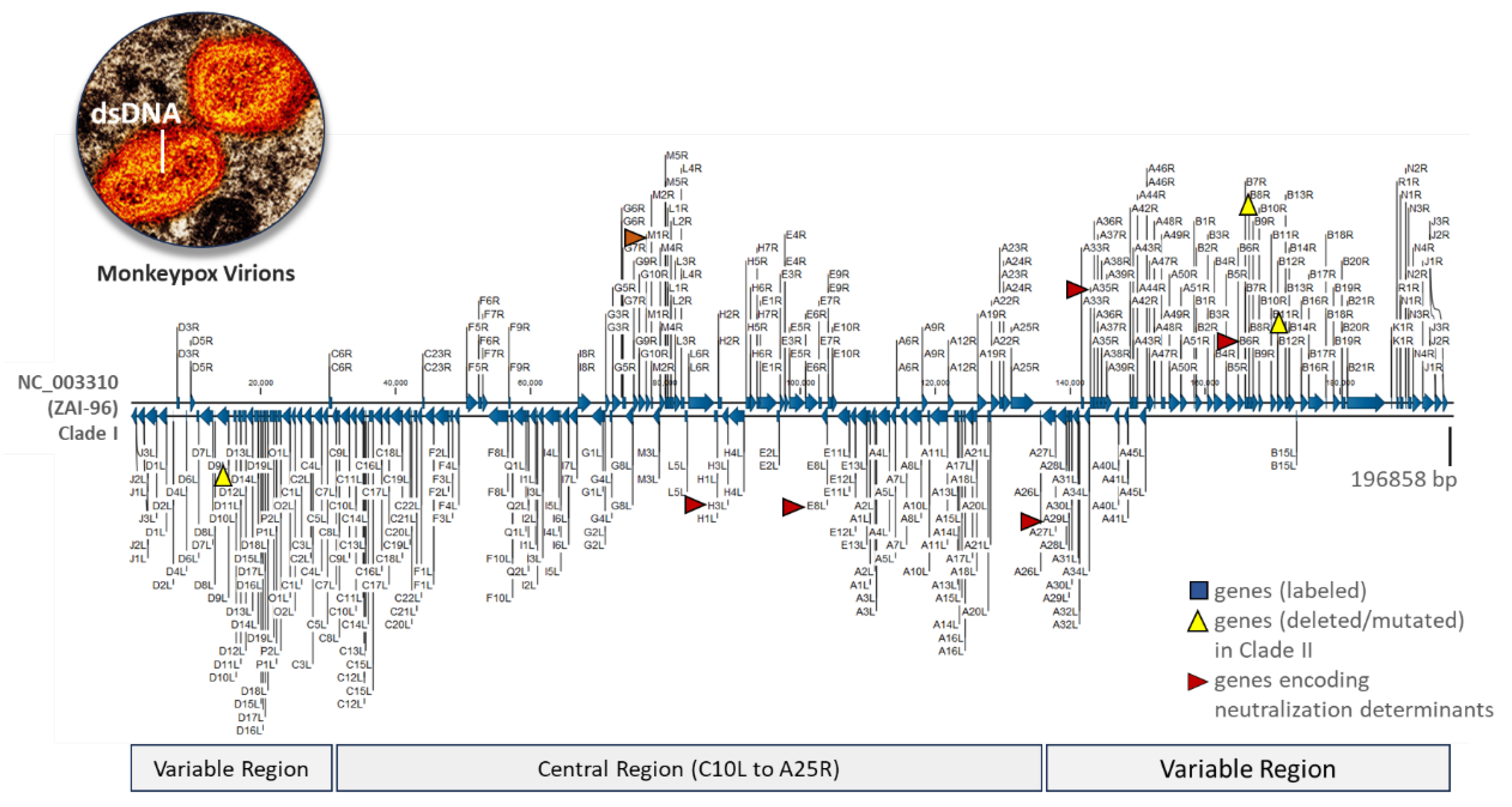 Preprints 137599 g002