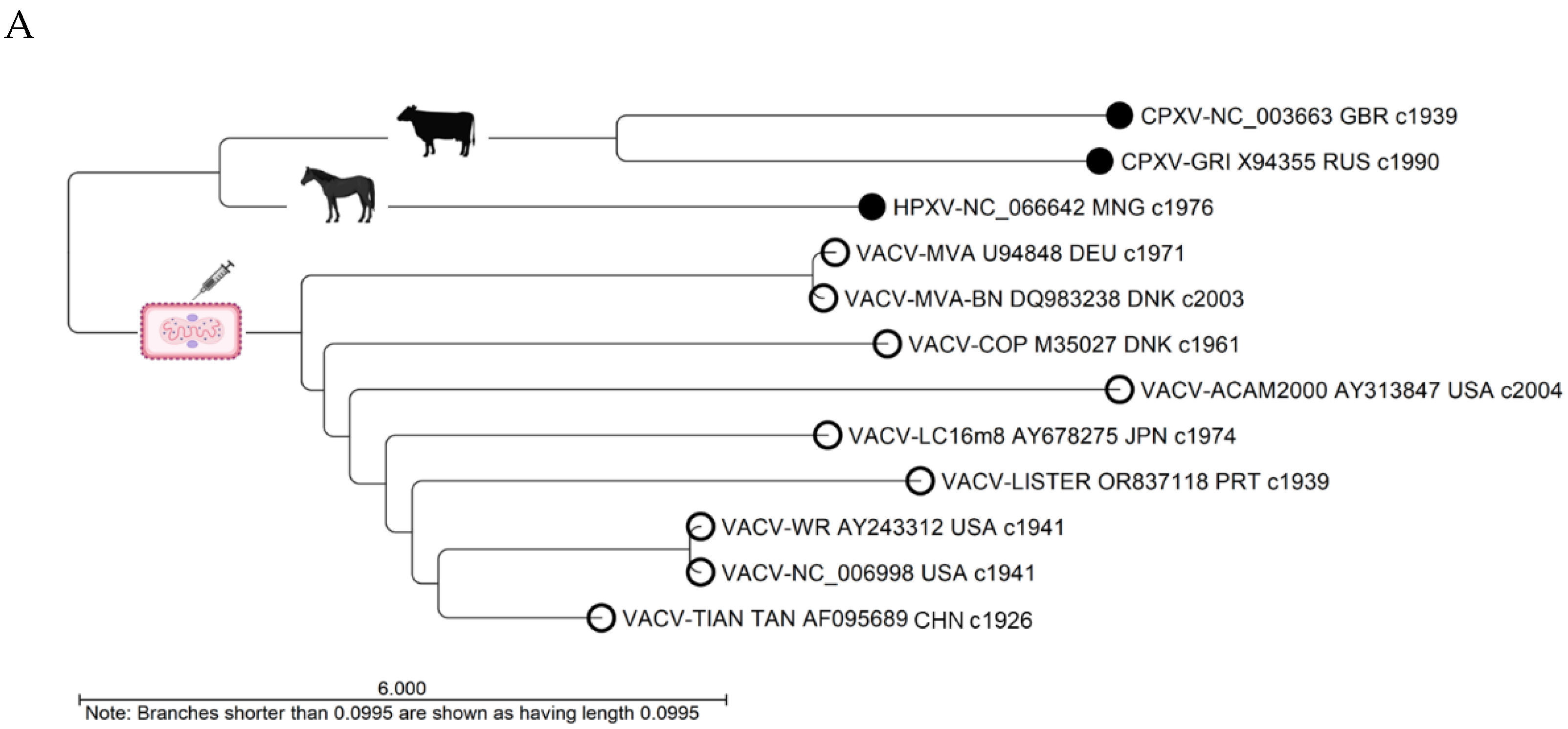 Preprints 137599 g005a