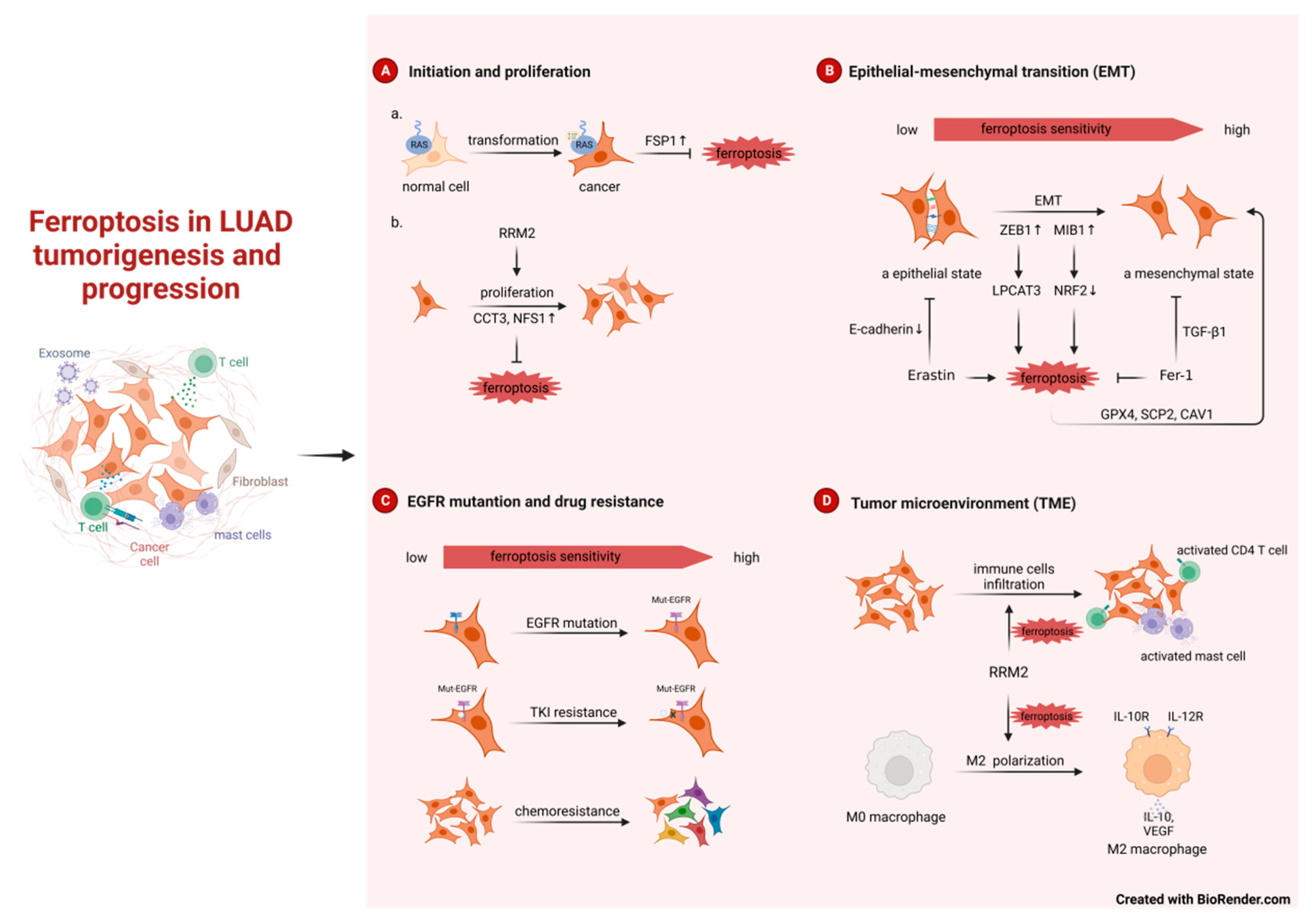 Preprints 84757 g001