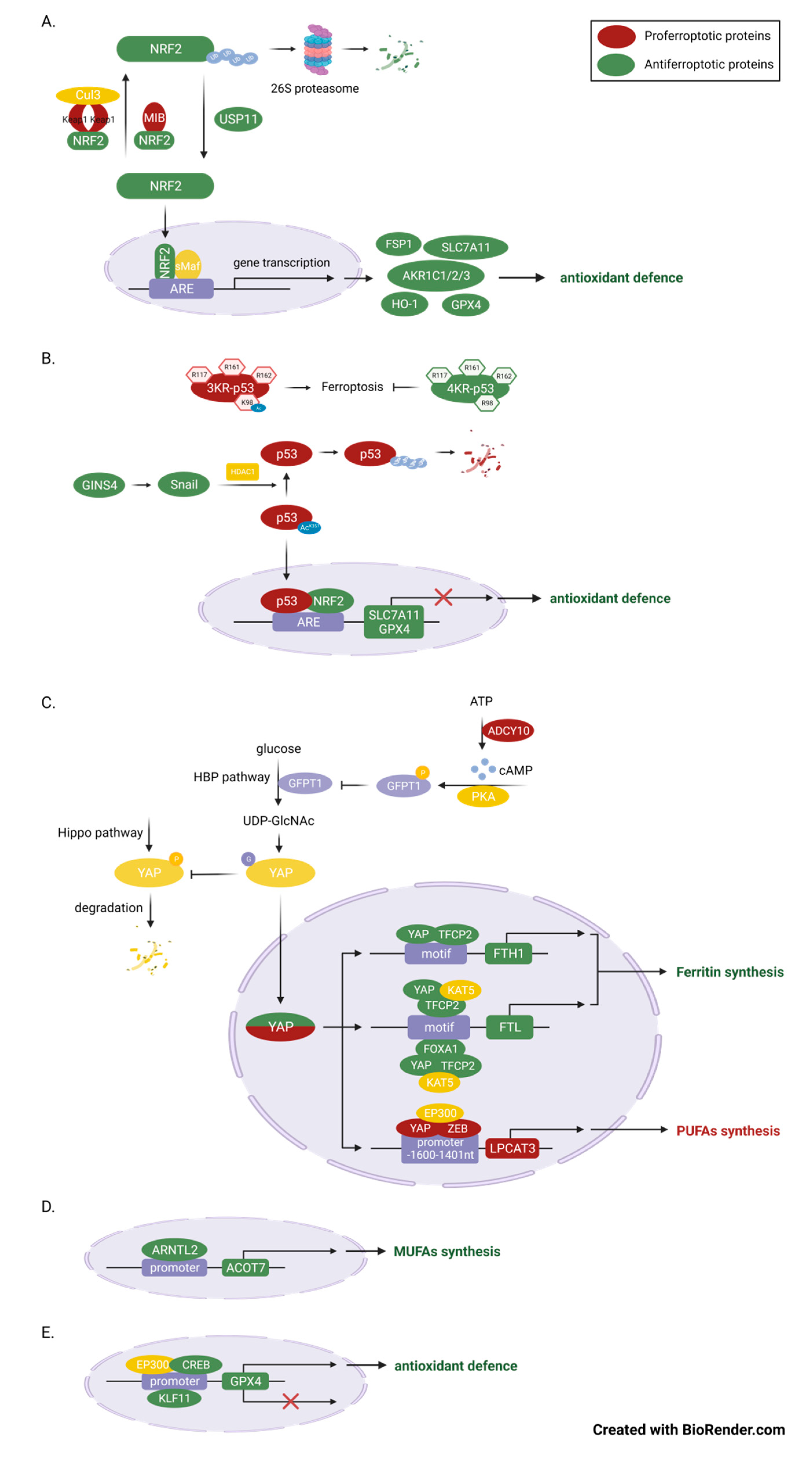 Preprints 84757 g002