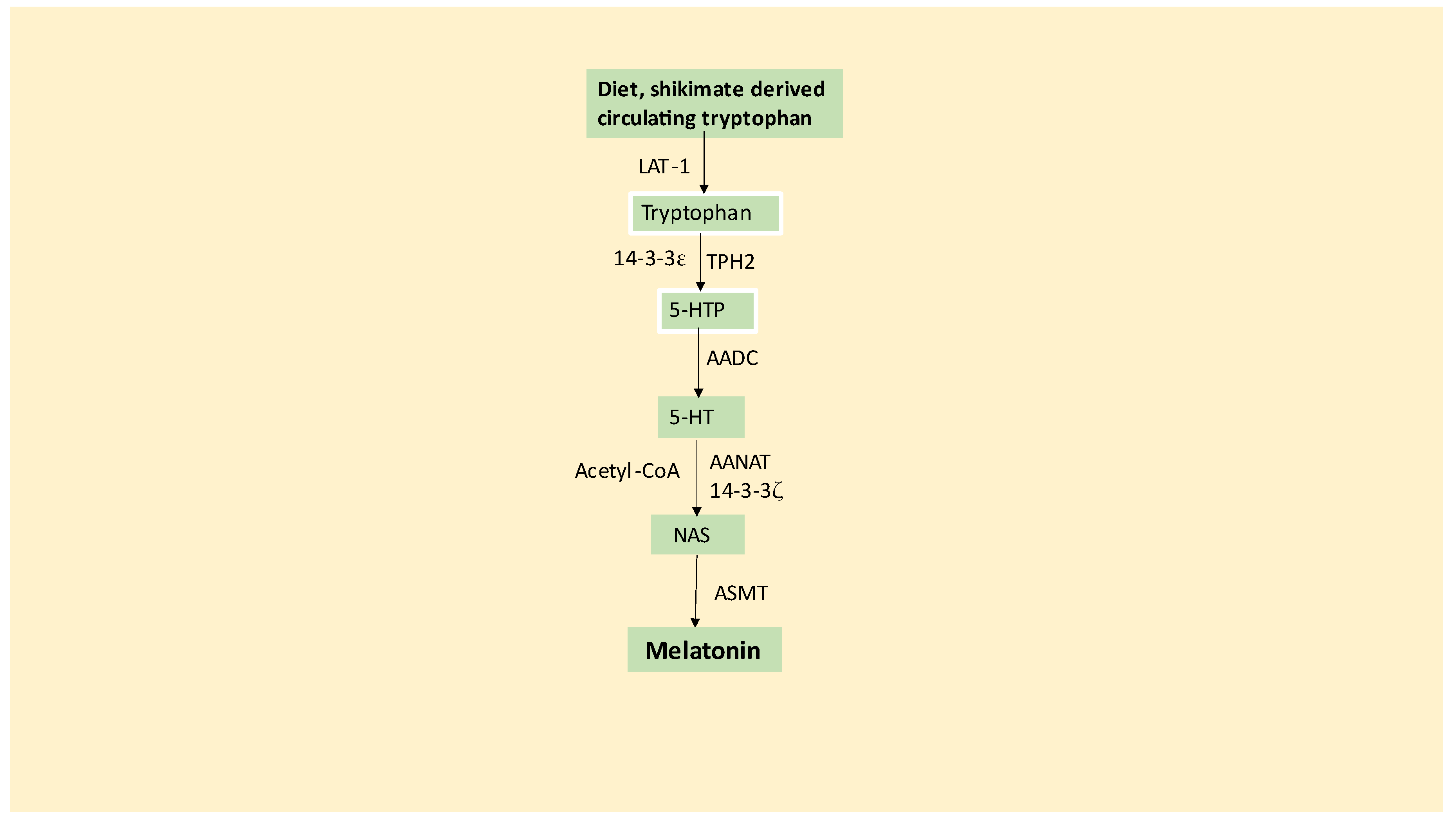 Preprints 89732 g001