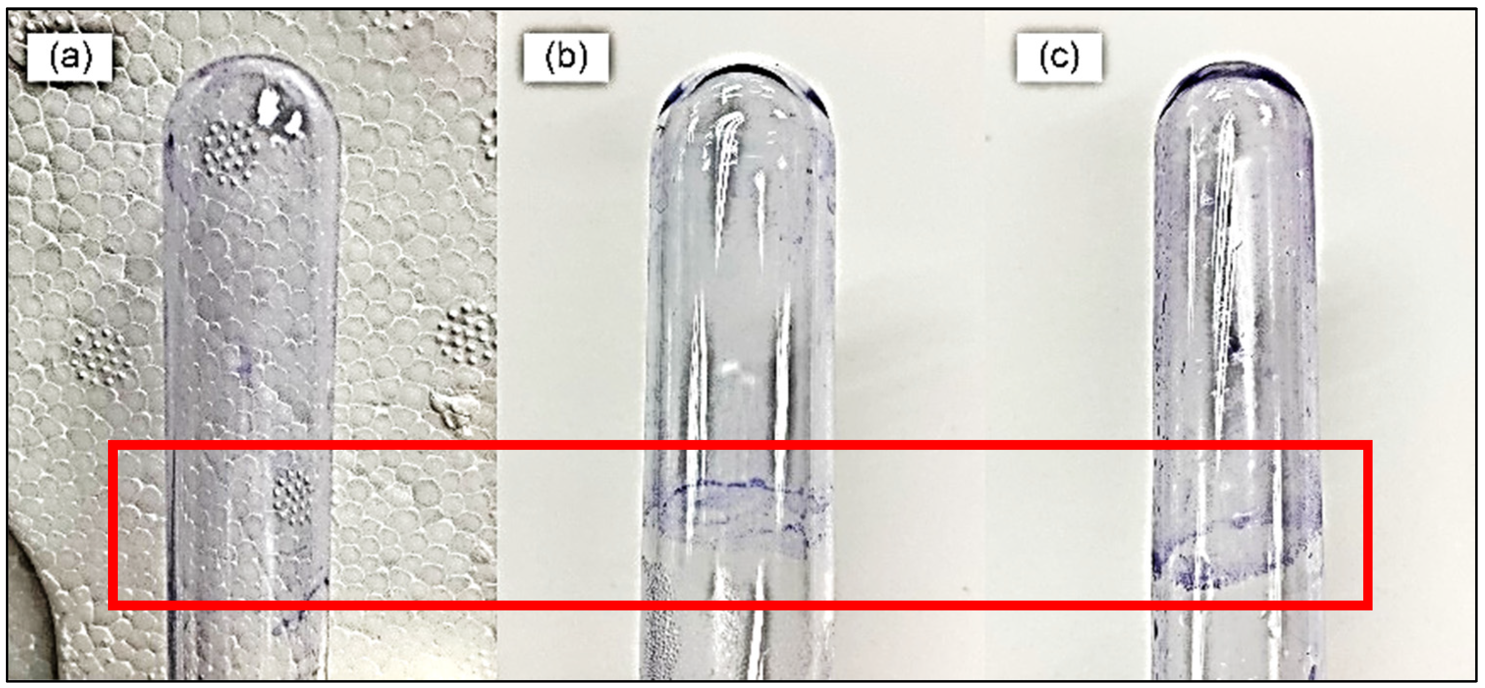 Preprints 103296 g001