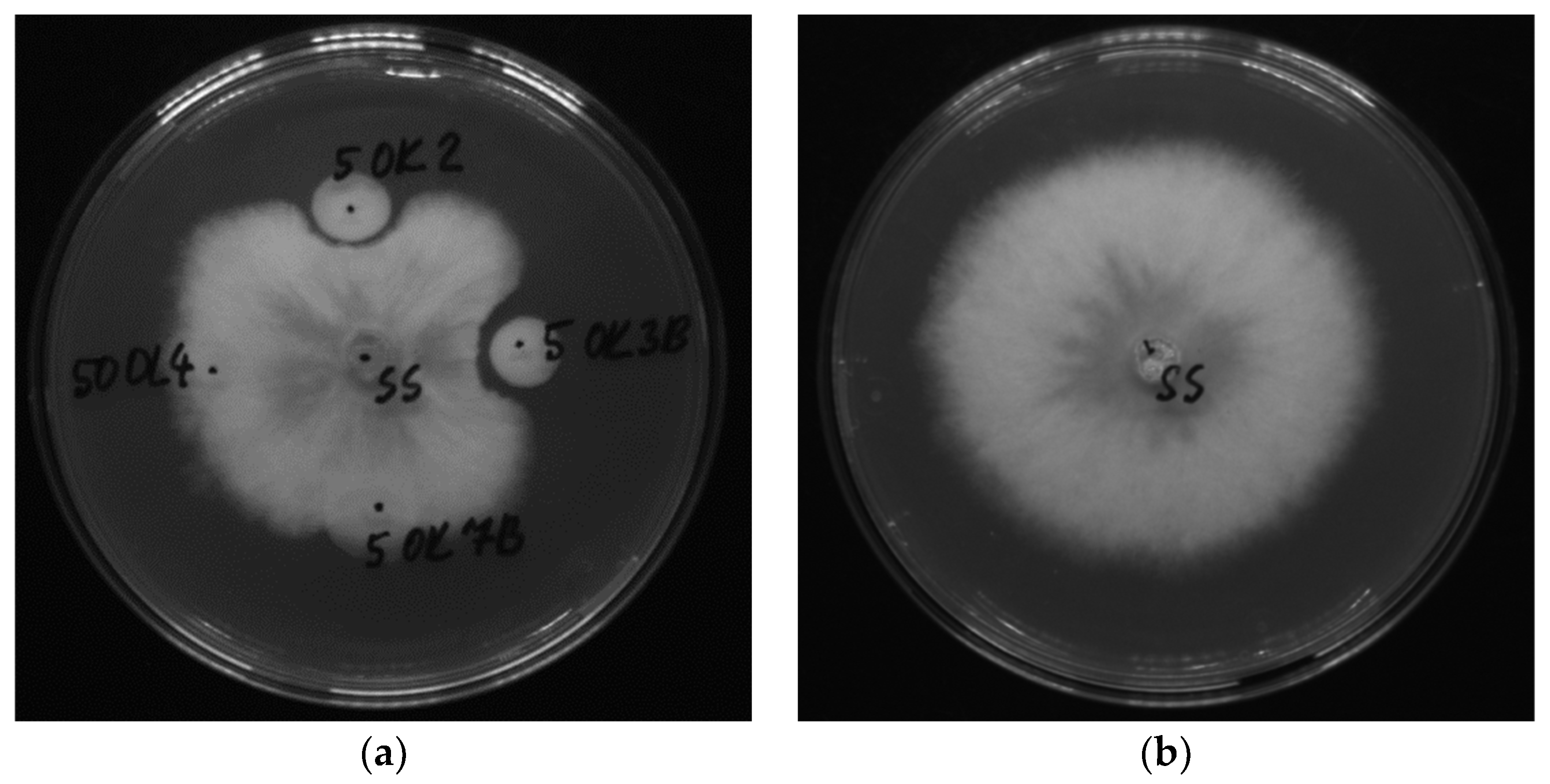 Preprints 85430 g002