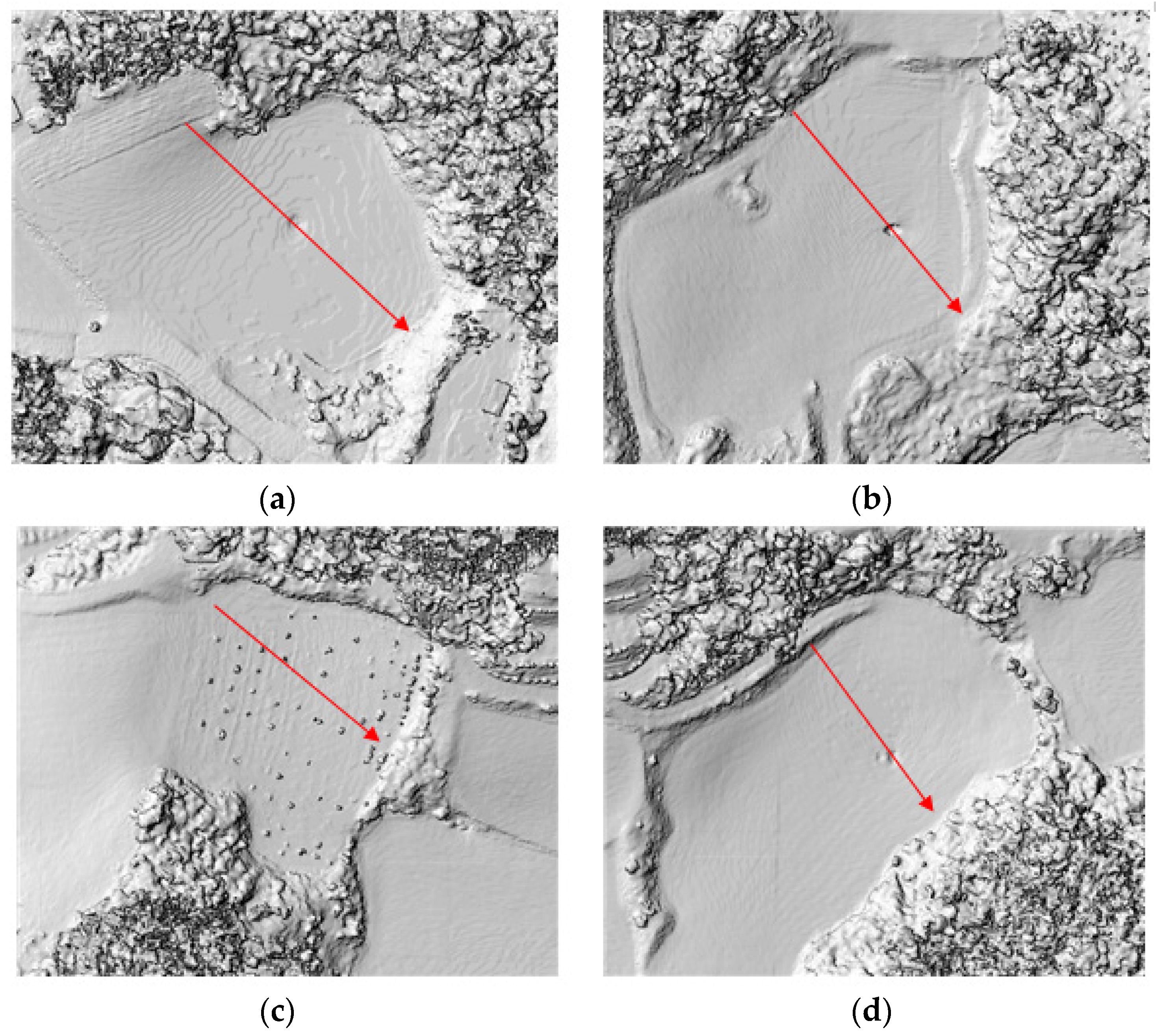 Preprints 115372 g009