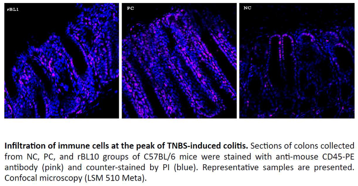 Preprints 105157 i001