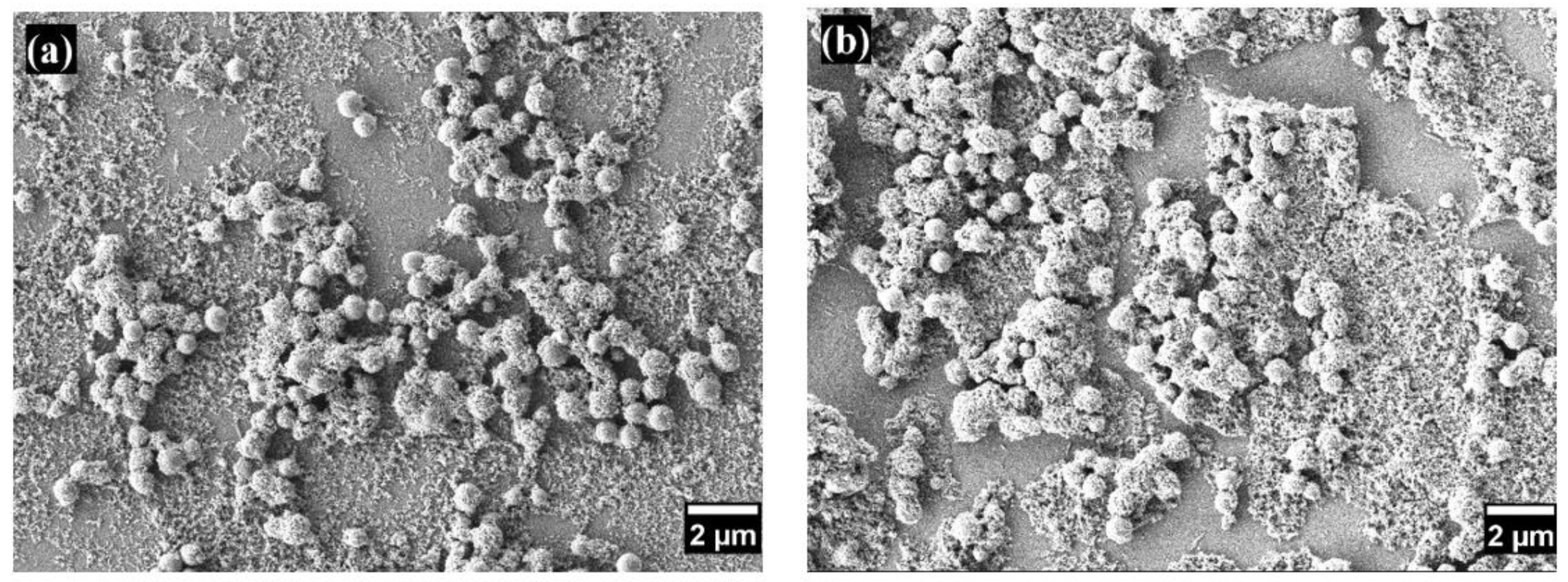 Preprints 115288 g002