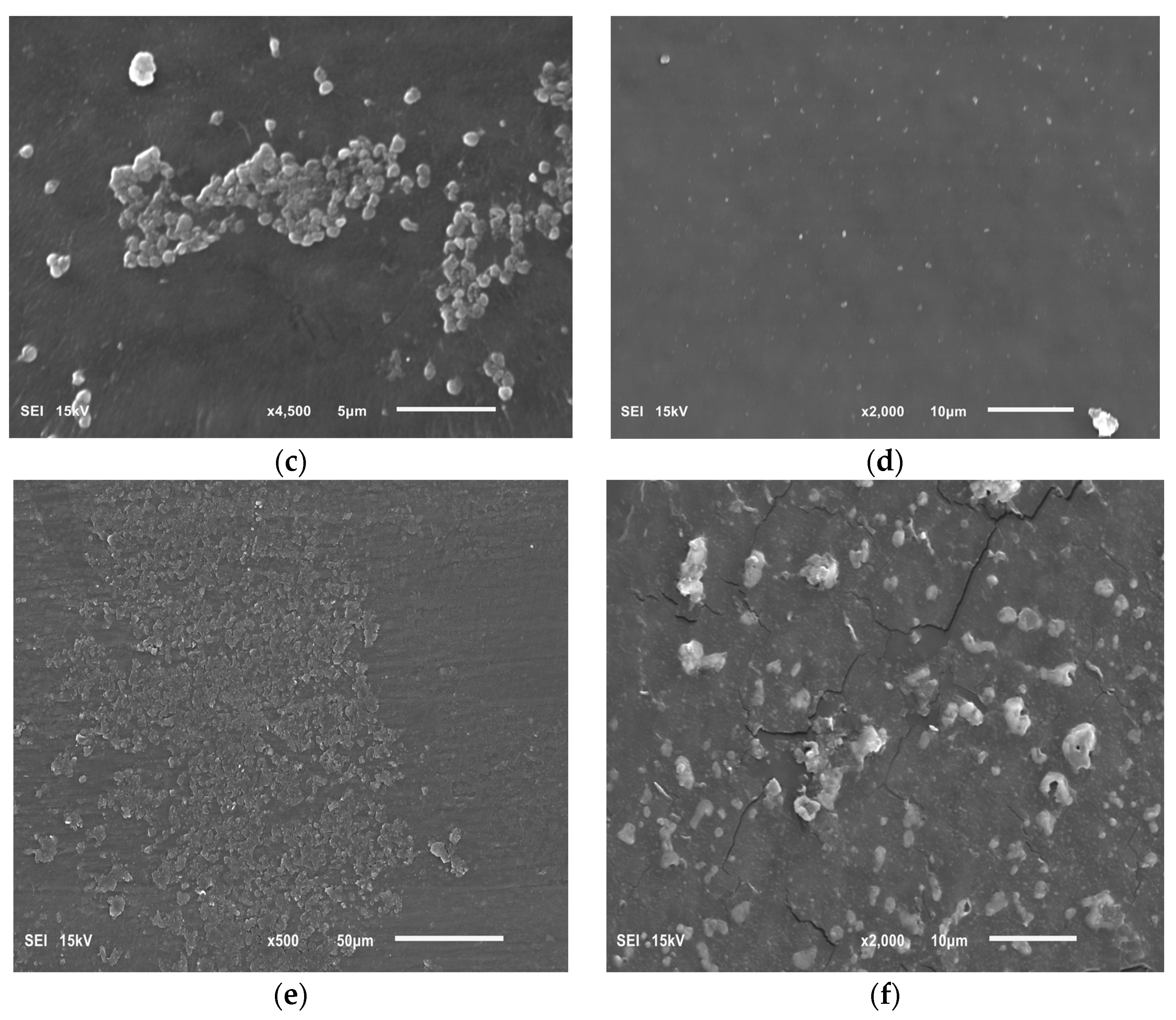 Preprints 94400 g007b