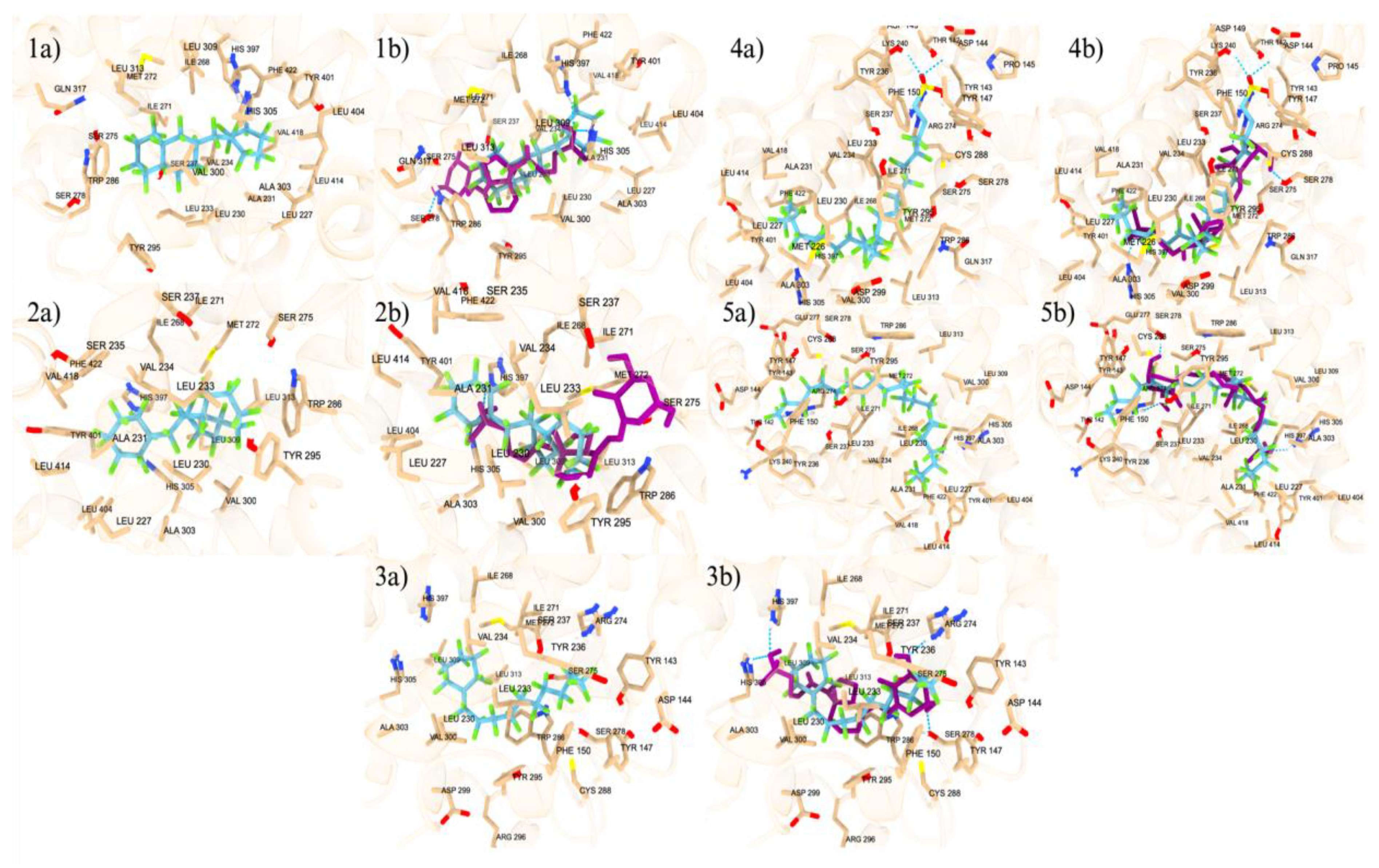 Preprints 106847 g004