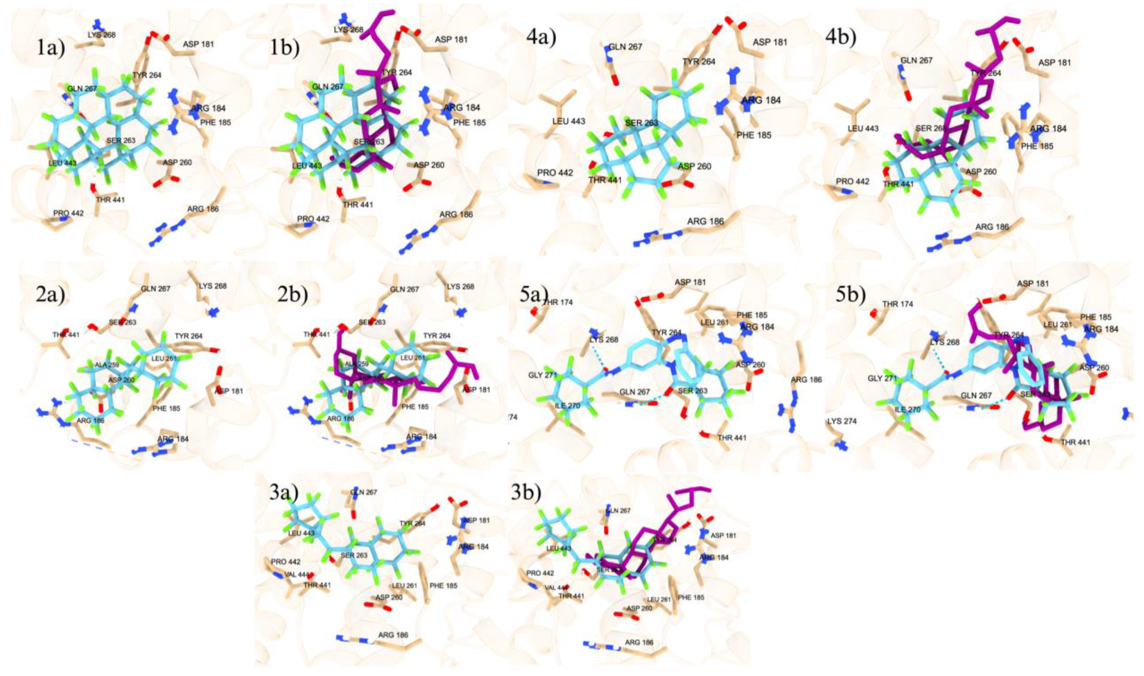 Preprints 106847 g005