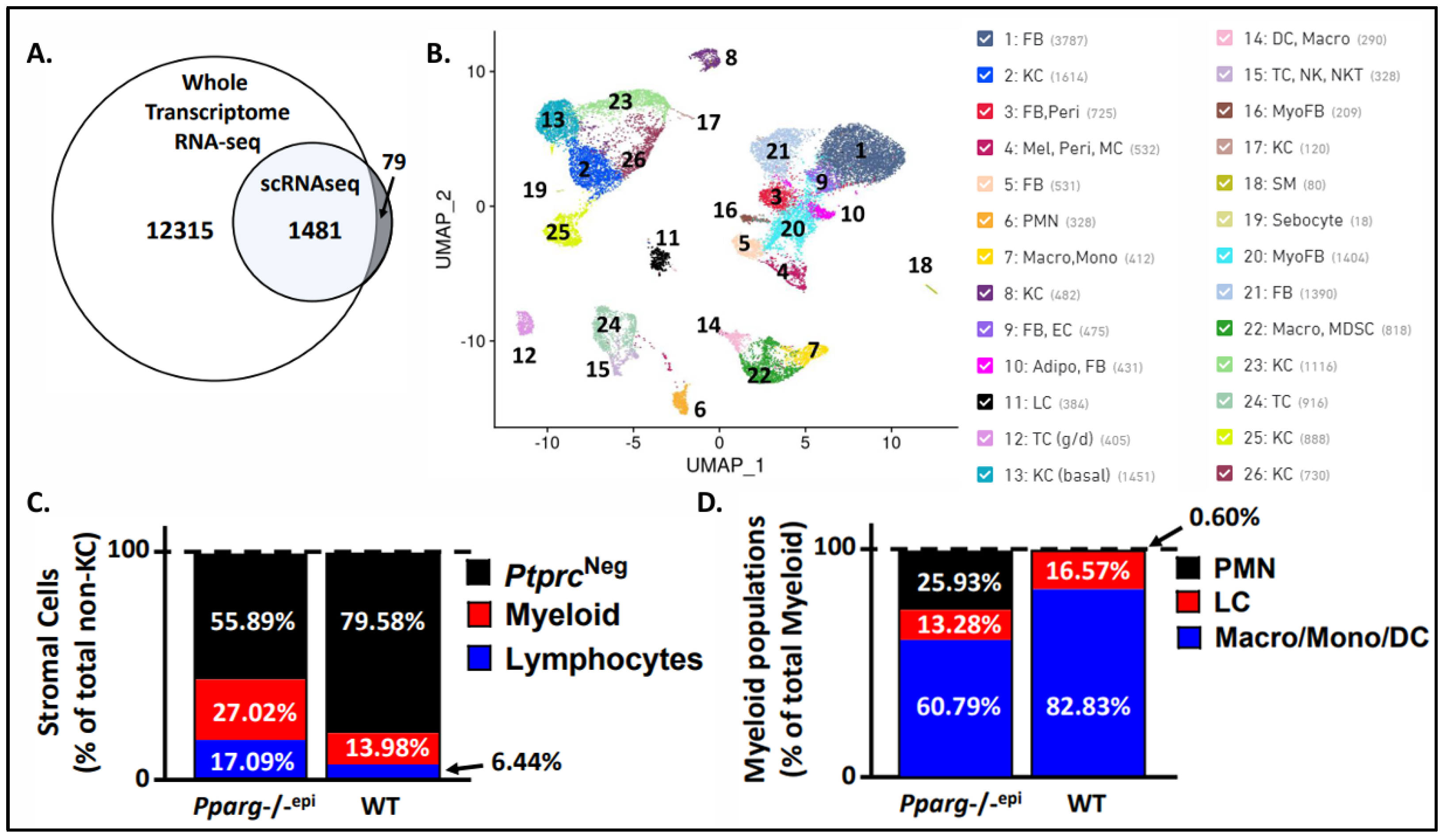 Preprints 110719 g001