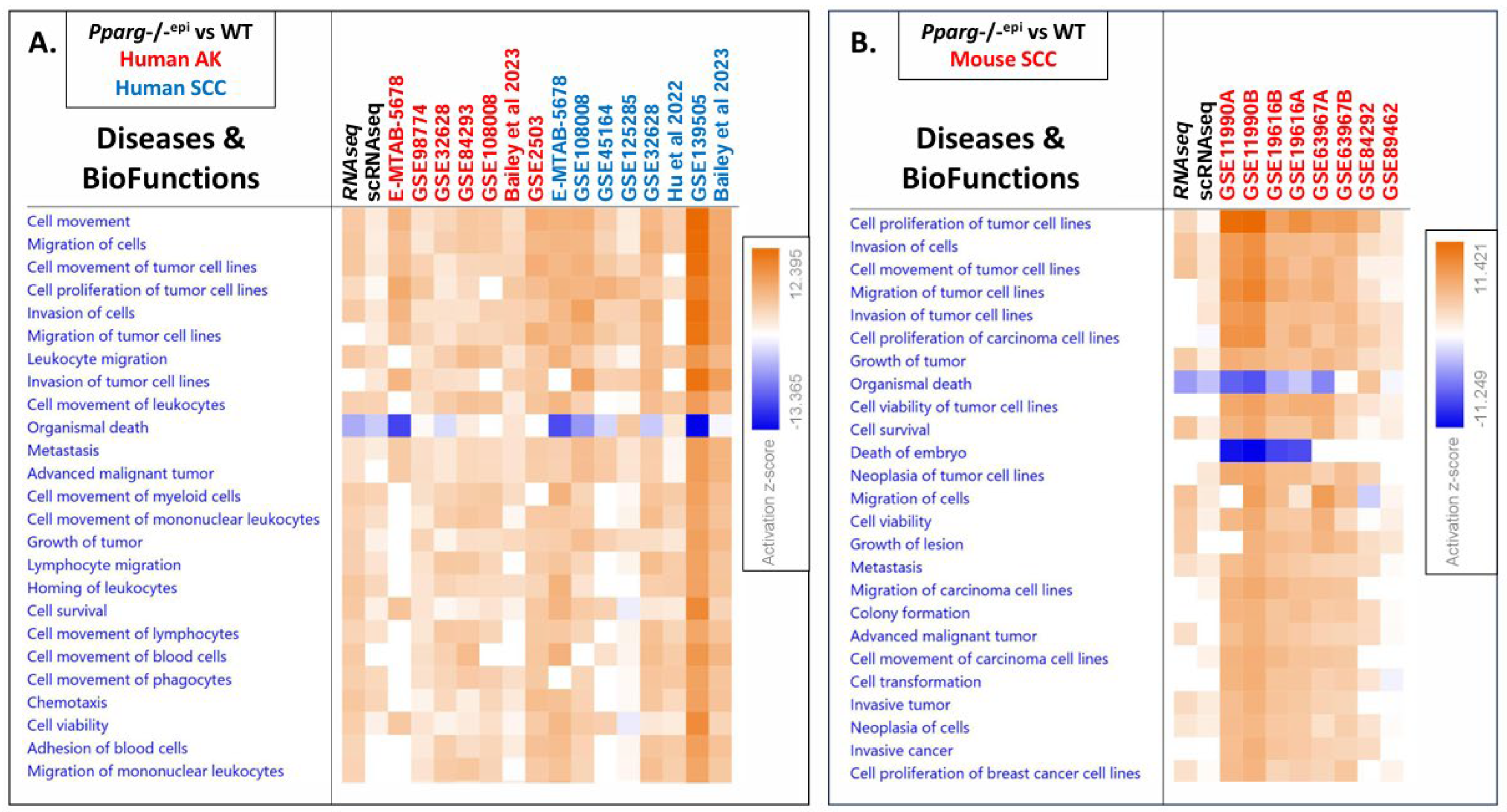 Preprints 110719 g003