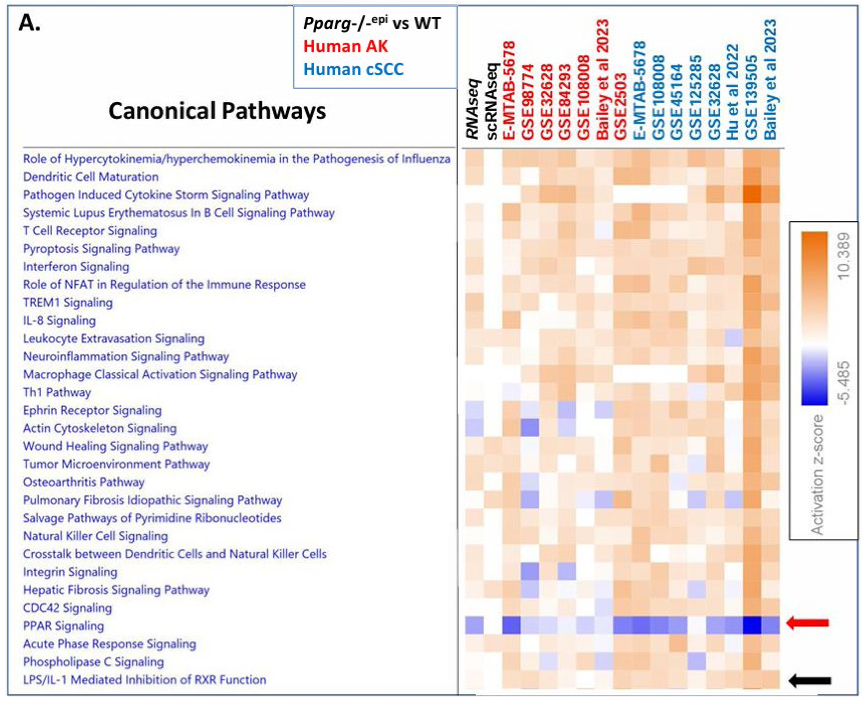 Preprints 110719 g004a