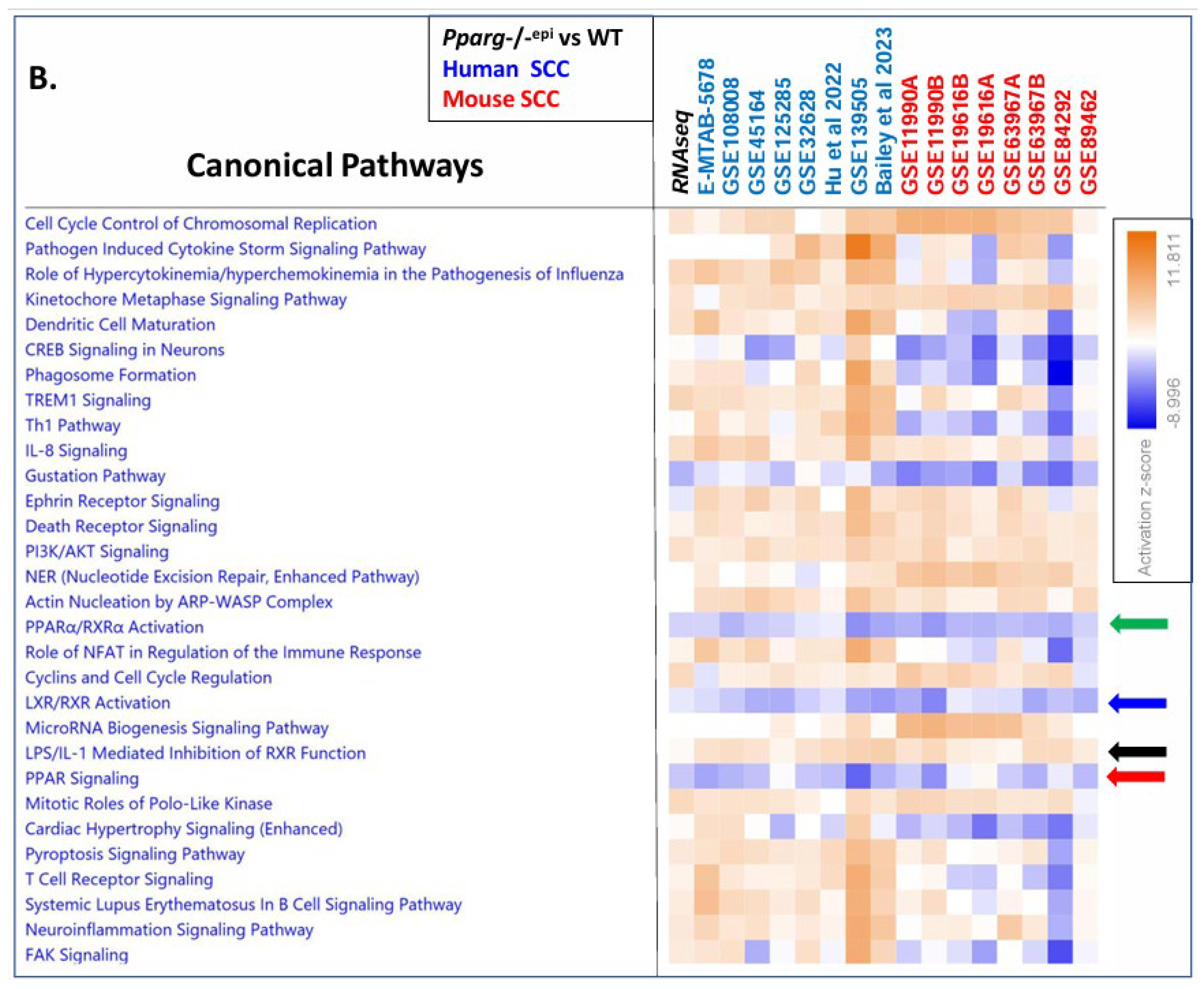 Preprints 110719 g004b