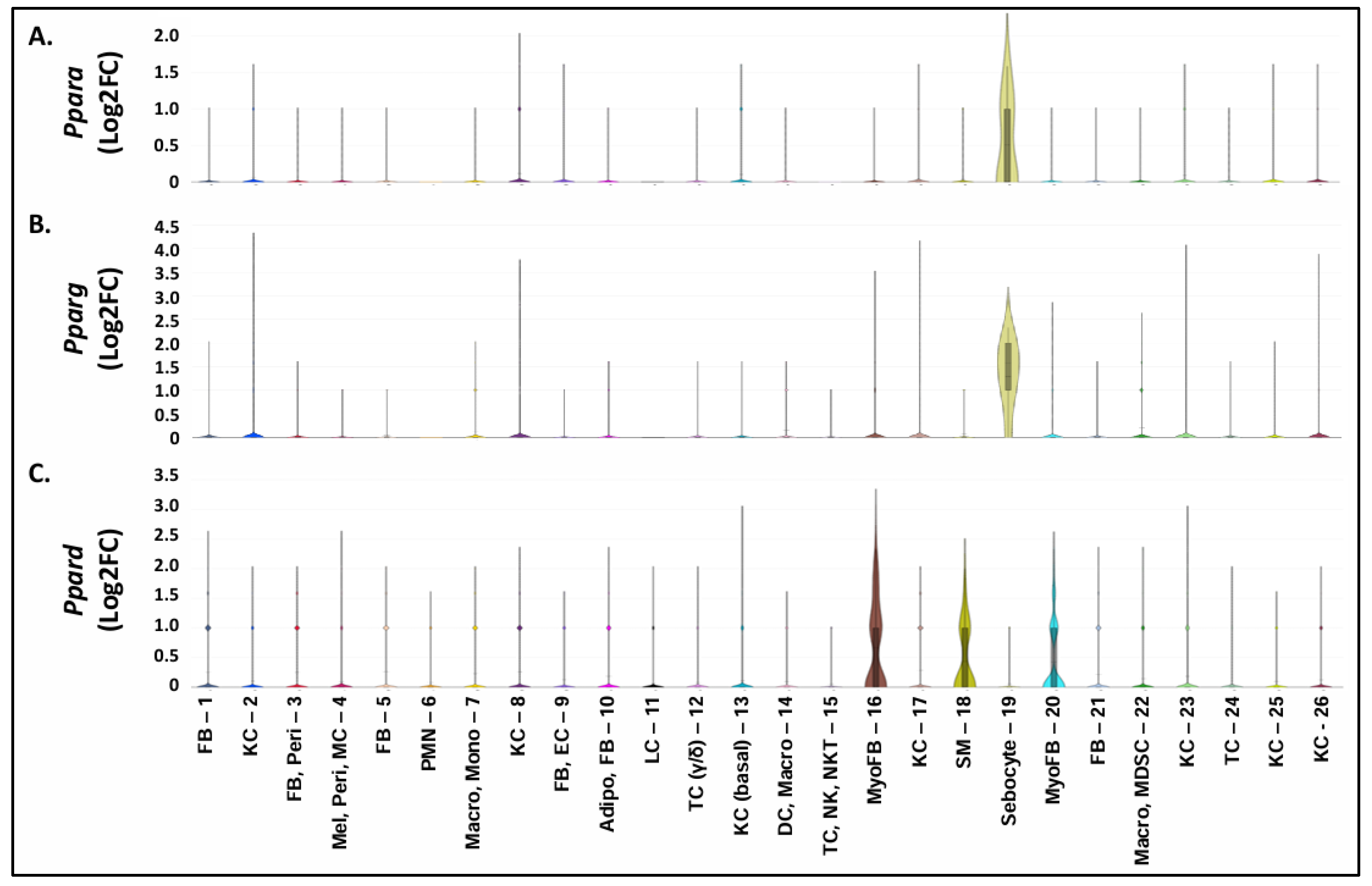 Preprints 110719 g006