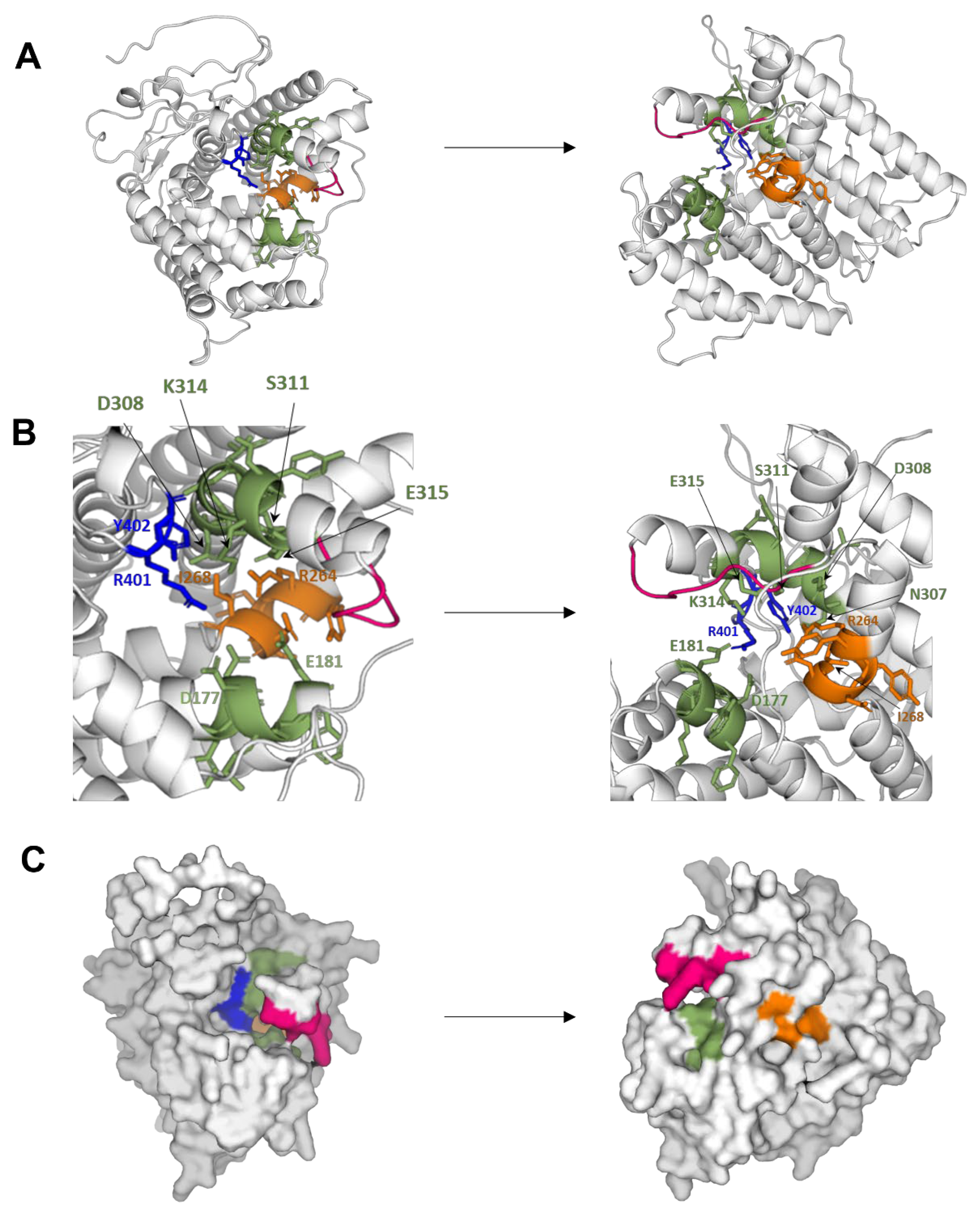 Preprints 102316 g002