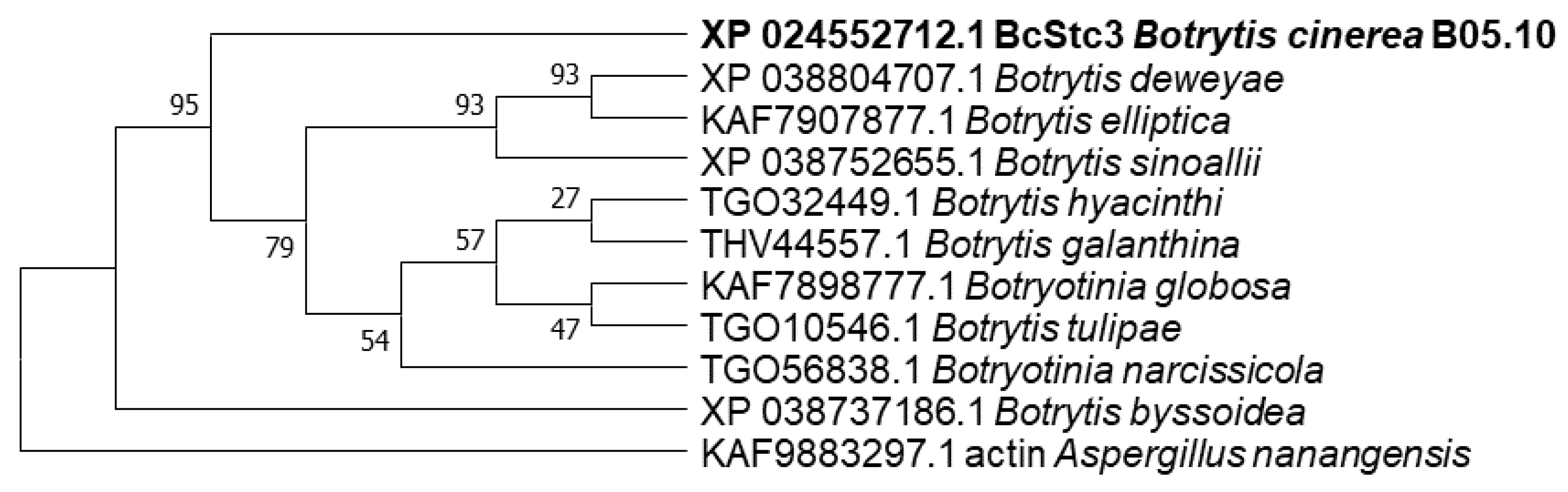 Preprints 102316 g003