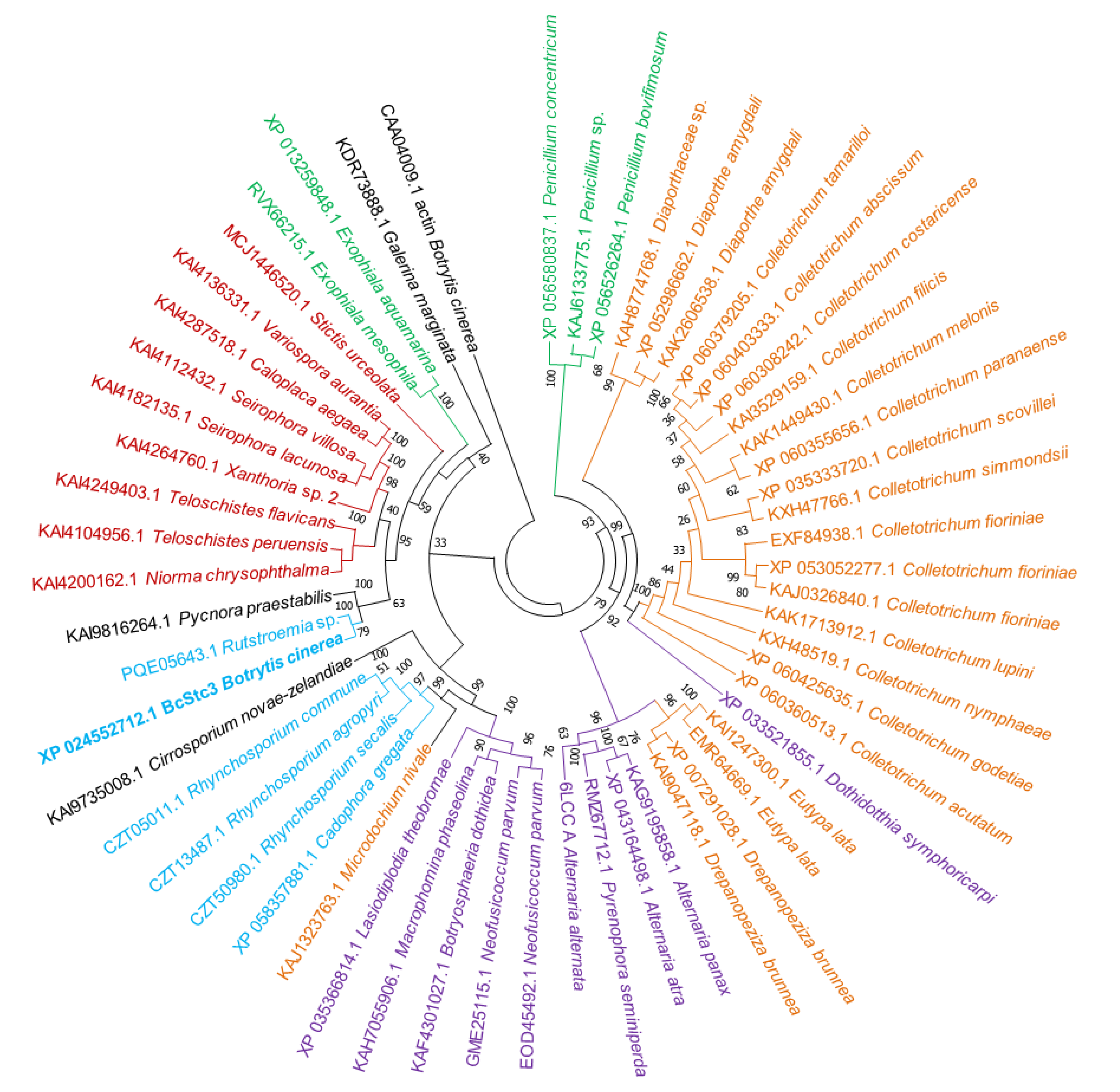 Preprints 102316 g004