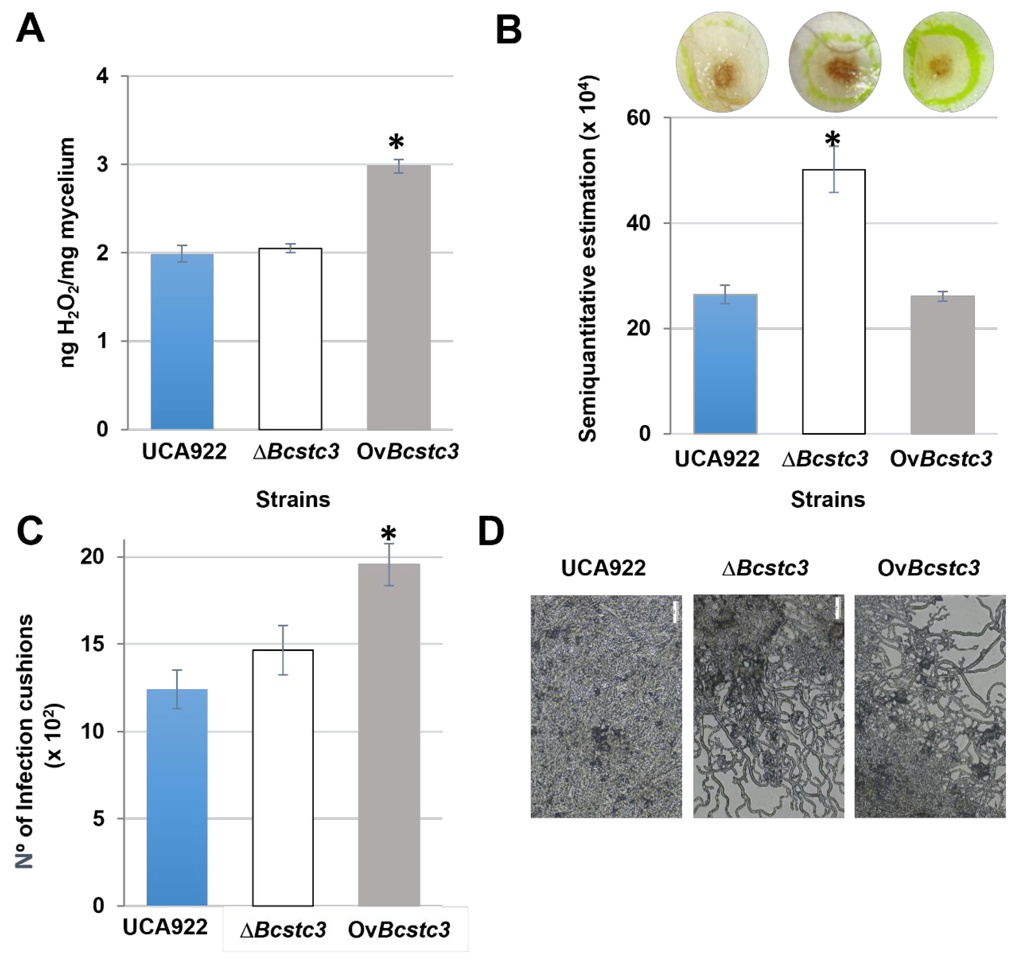 Preprints 102316 g010