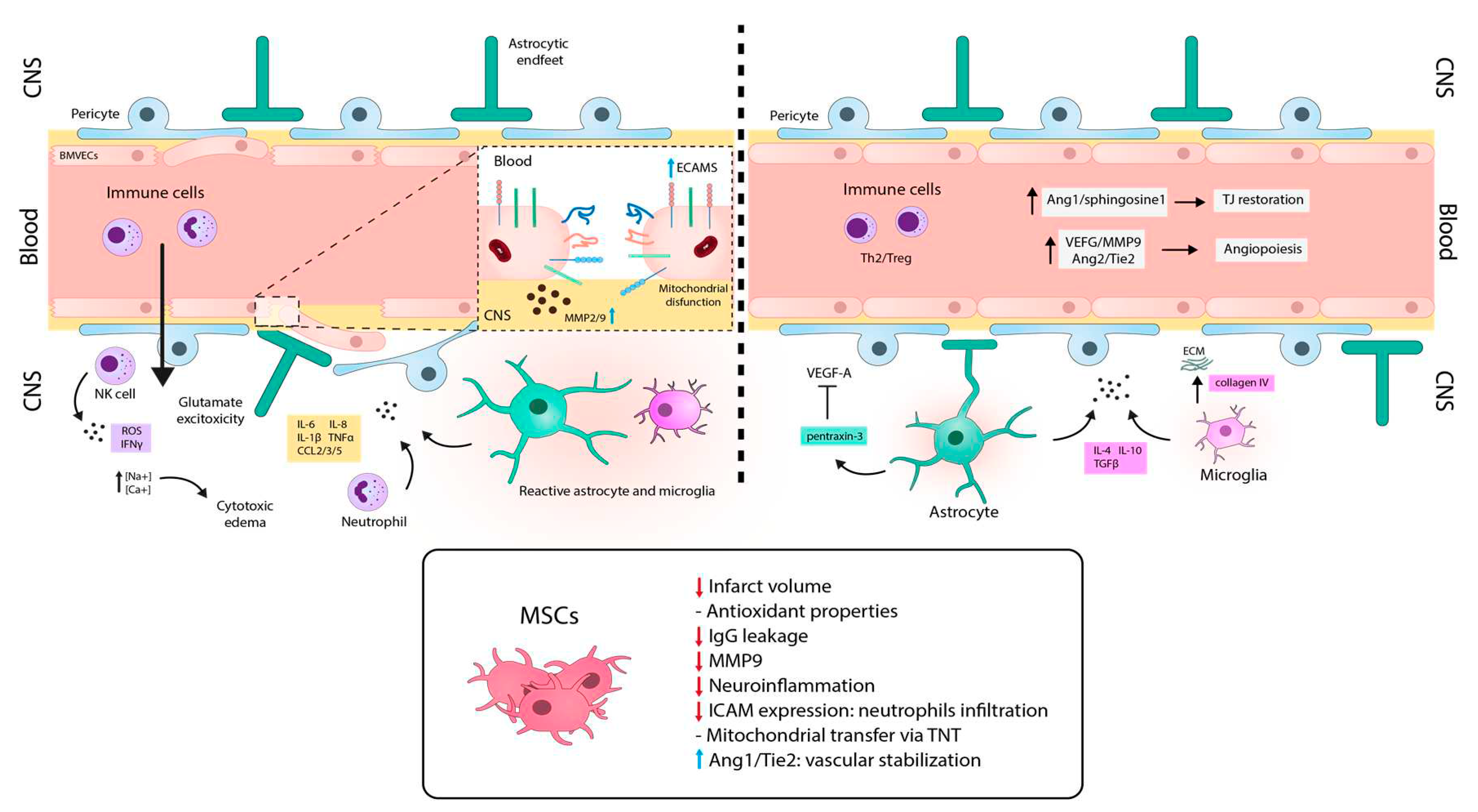 Preprints 81577 g005