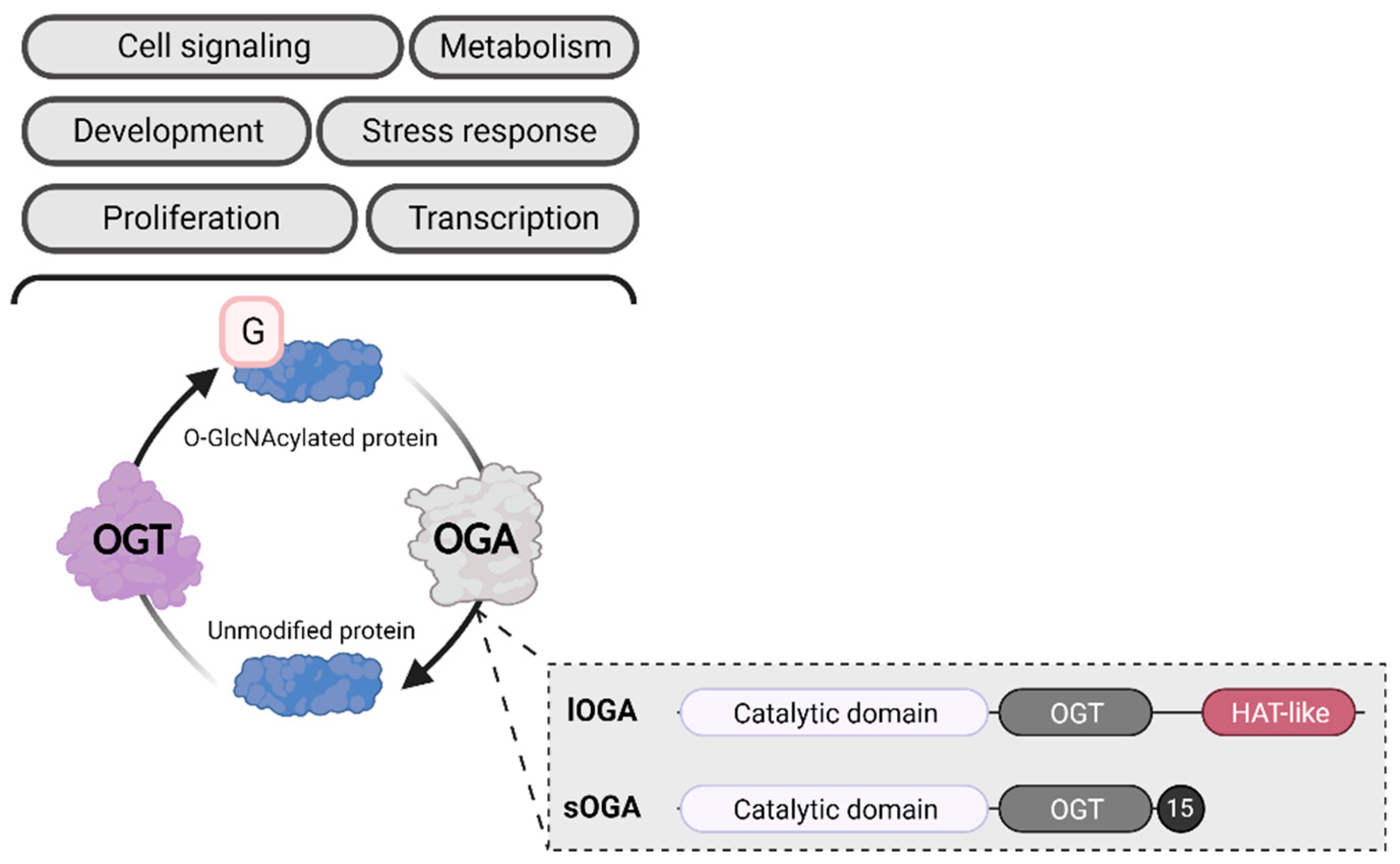 Preprints 85846 g001