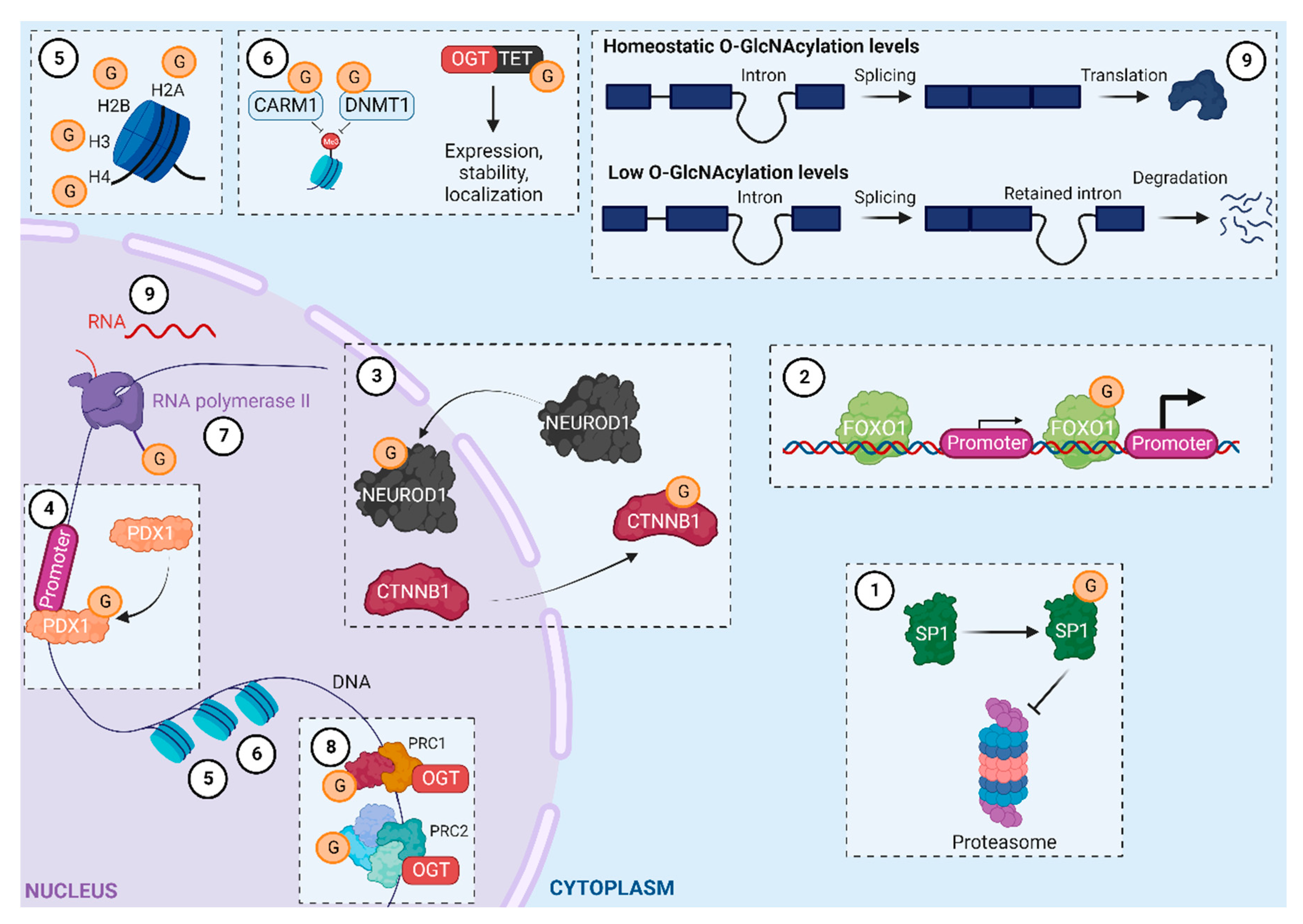 Preprints 85846 g002