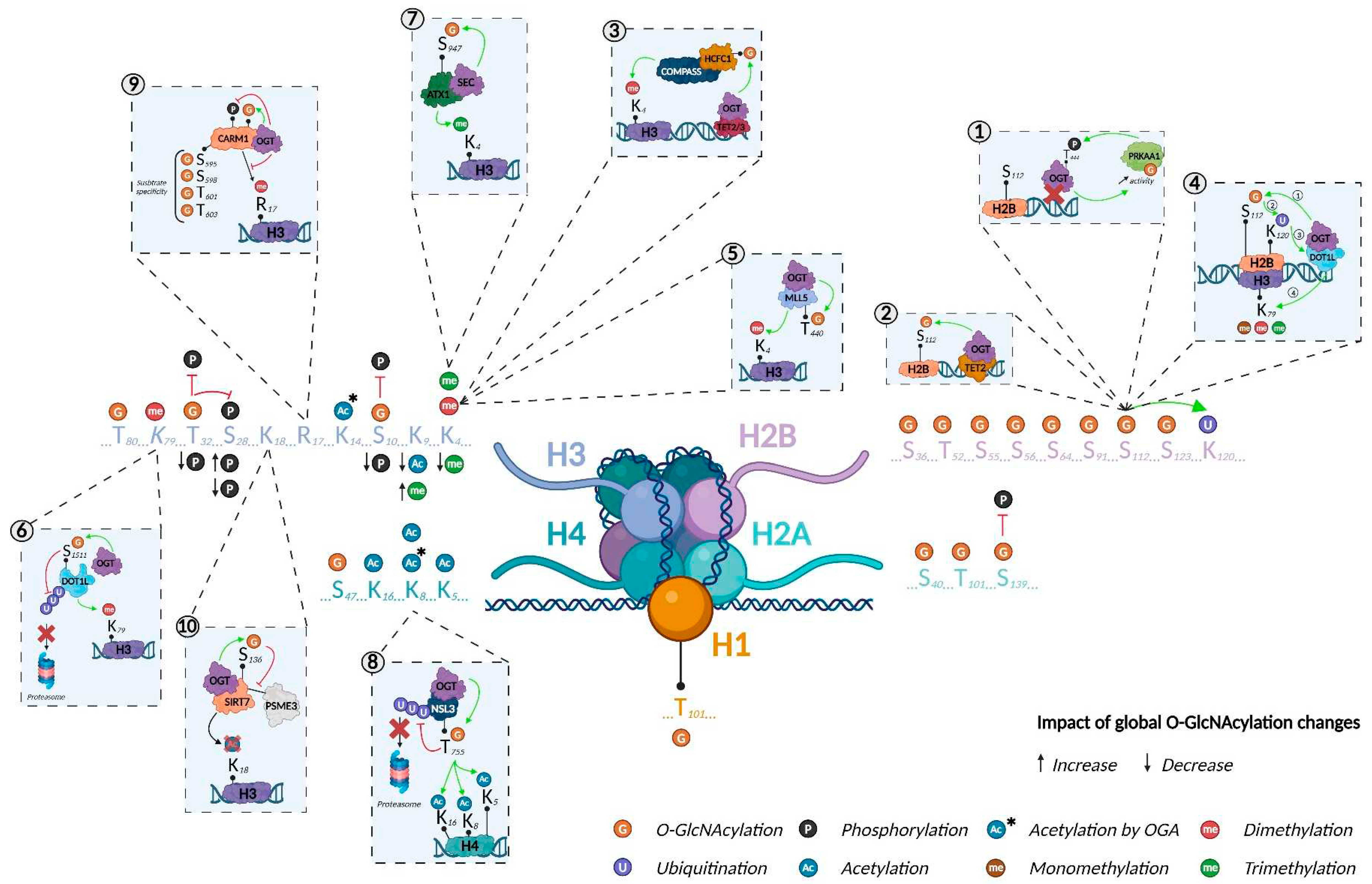 Preprints 85846 g003