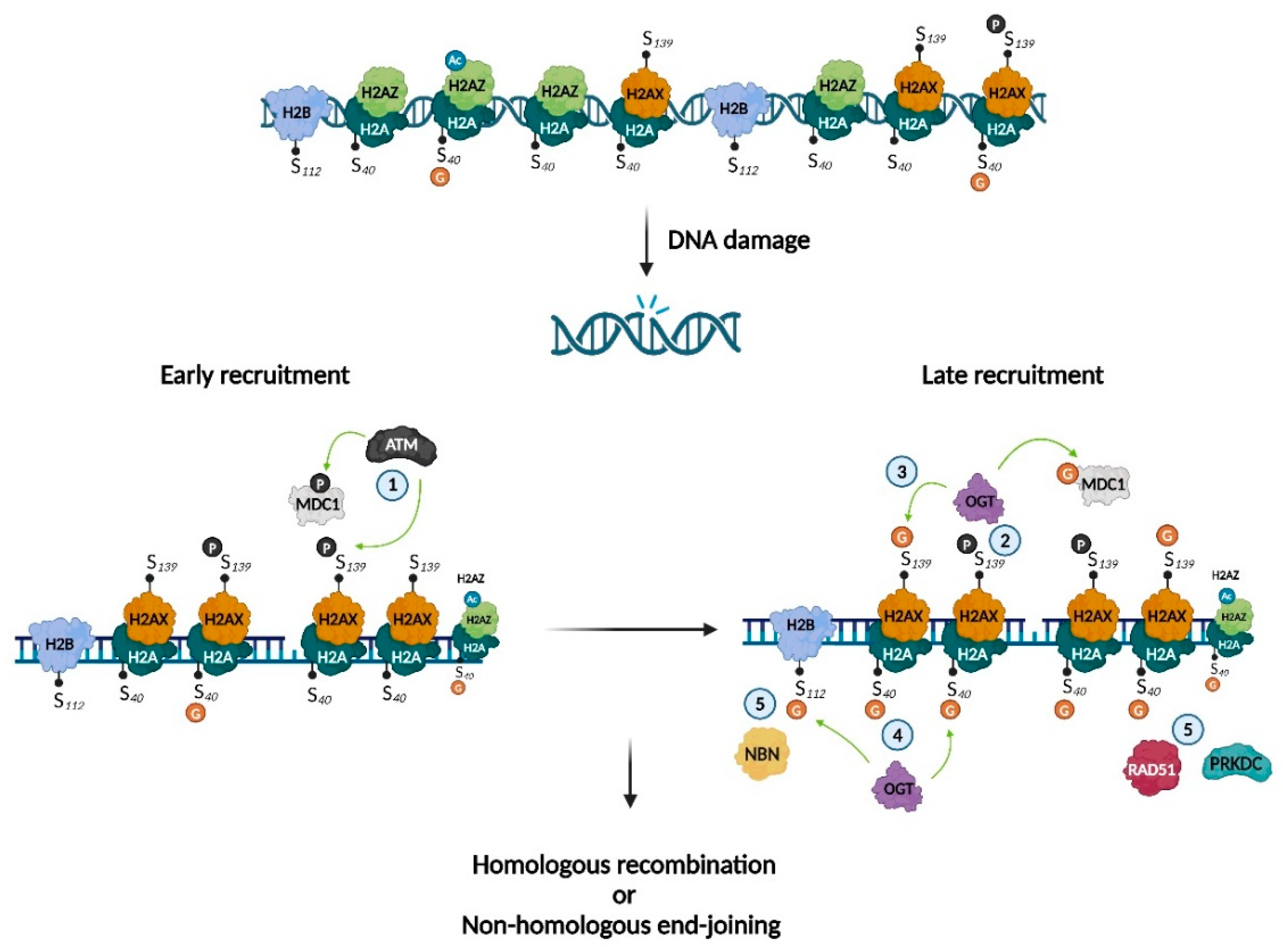 Preprints 85846 g004