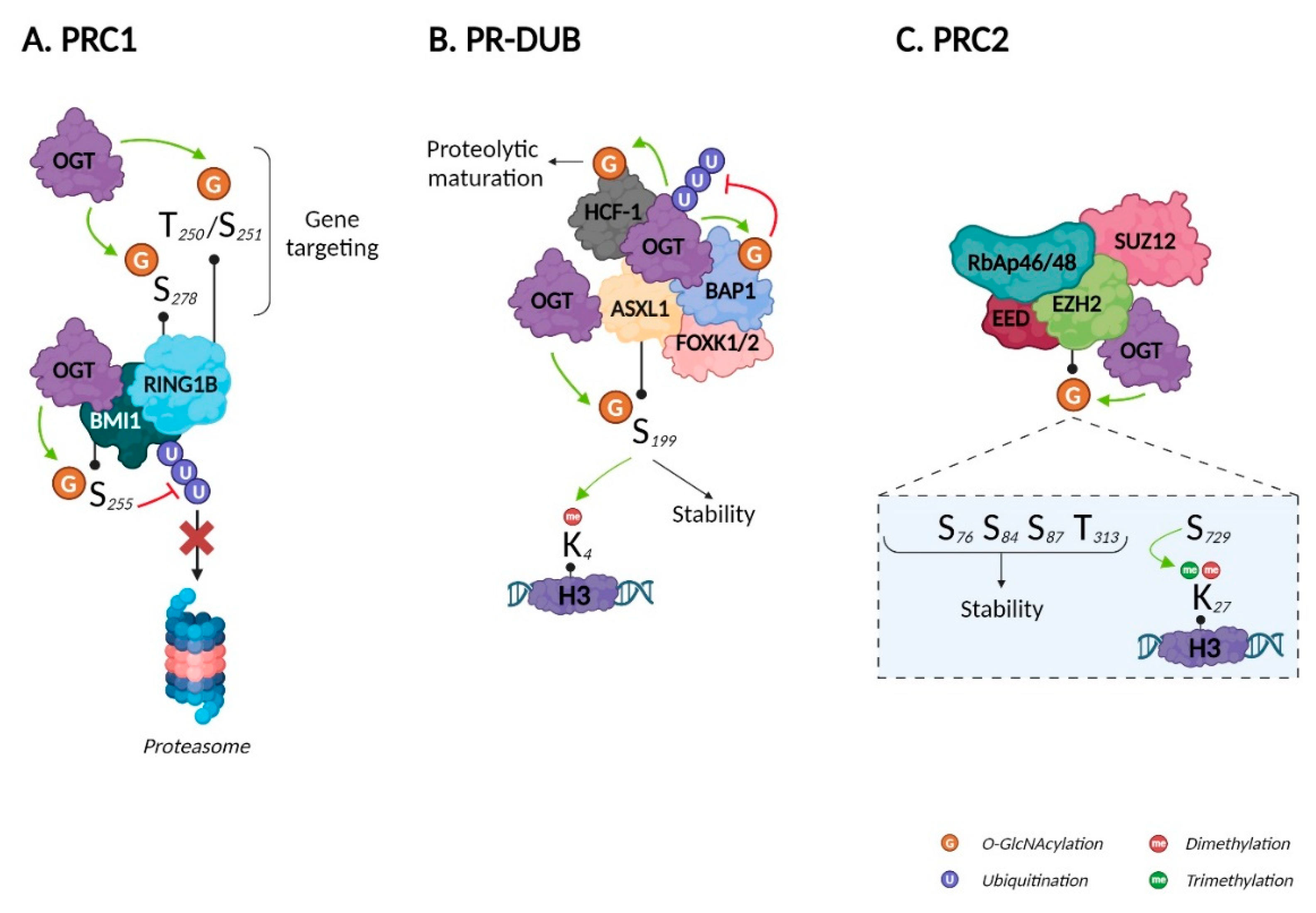 Preprints 85846 g005