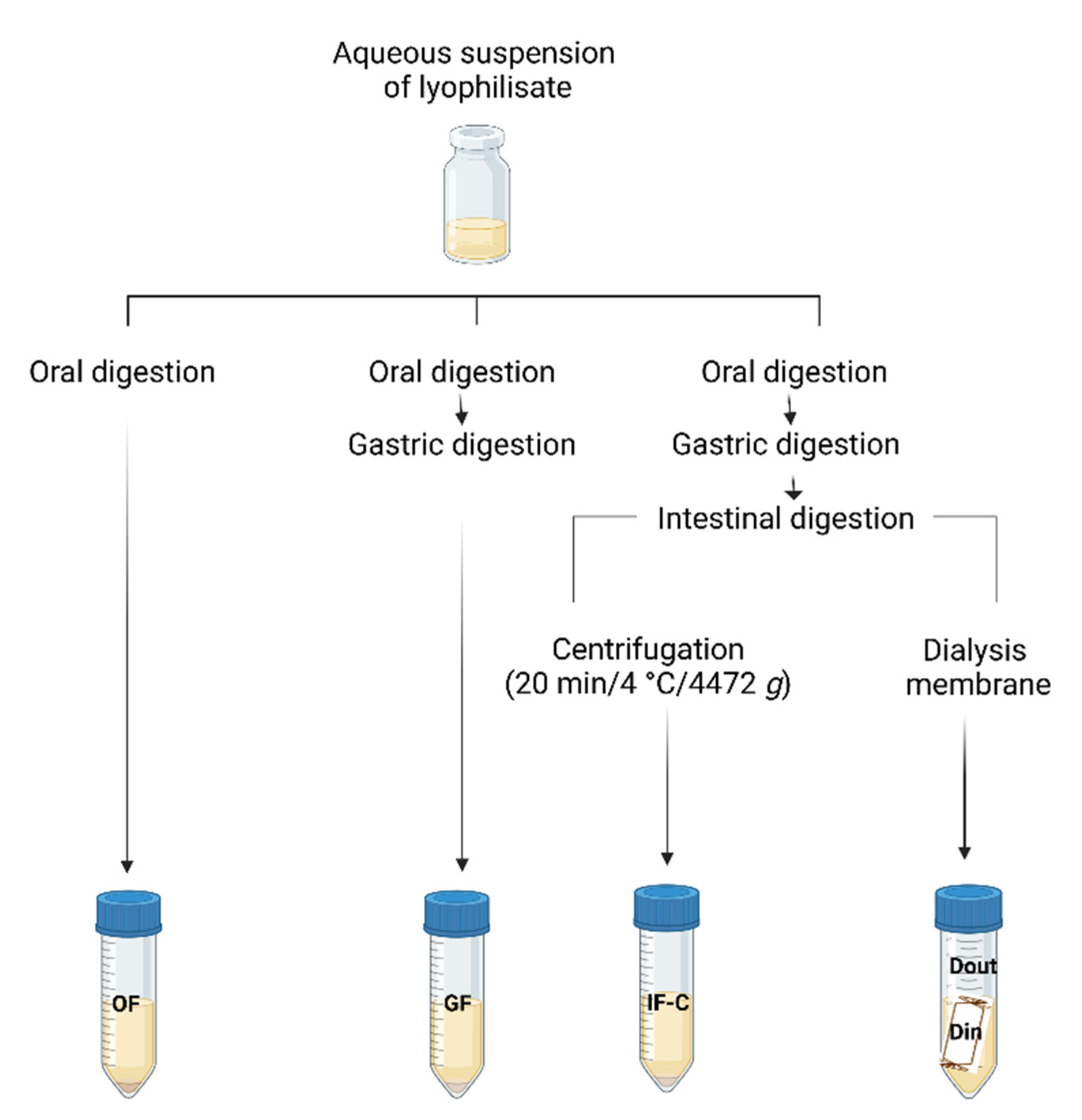 Preprints 80754 g001