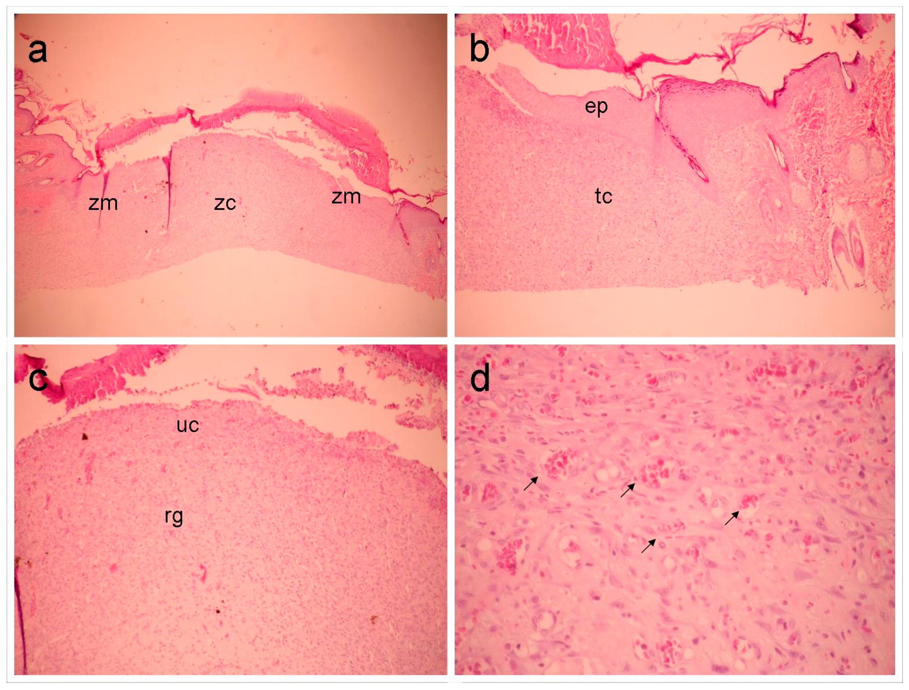 Preprints 138432 g004