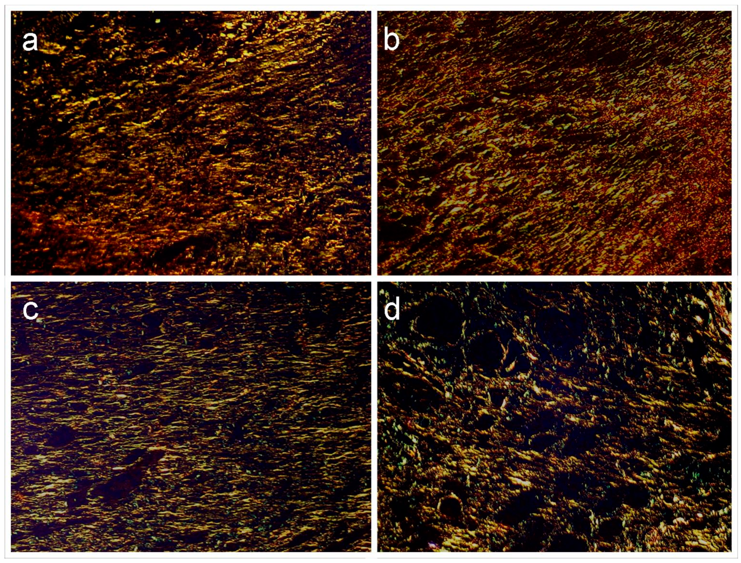 Preprints 138432 g008