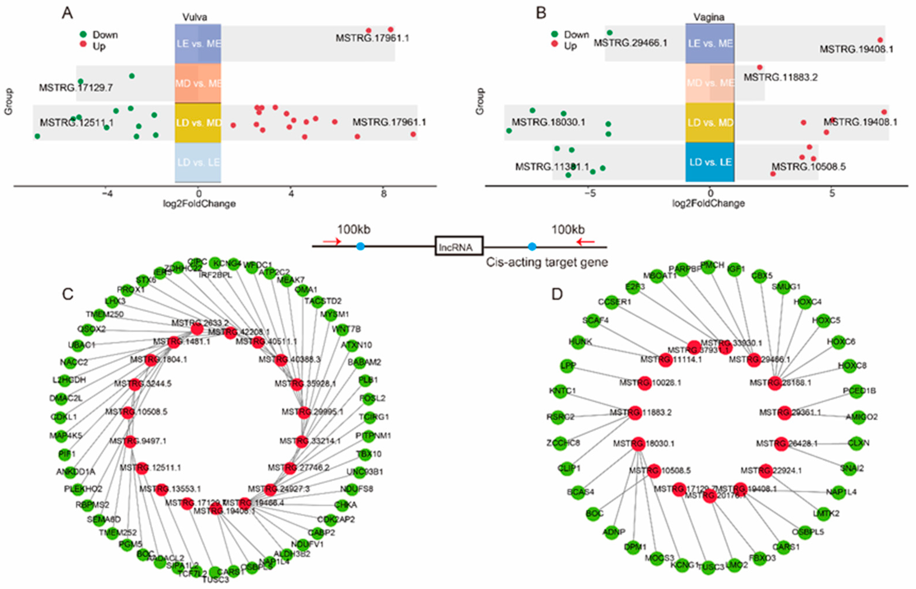 Preprints 96711 g002